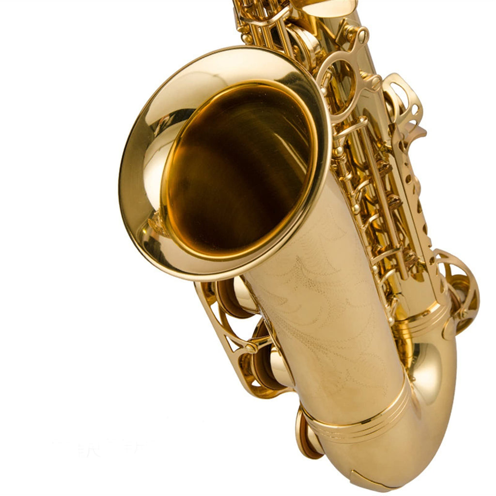 Alto Saxophone Lacquered Gold E-Flat Set Z219811