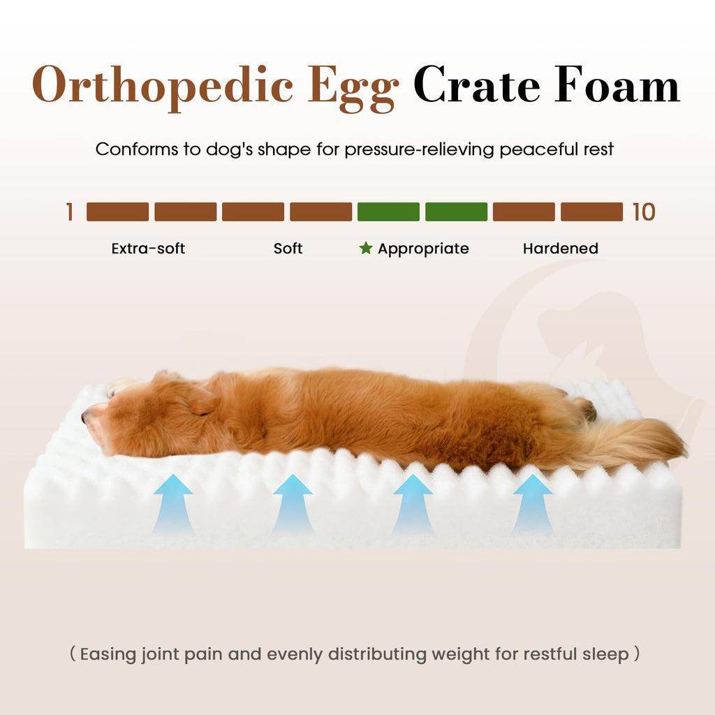 Orthopedic Foam Dog Bed with Waterproof Lining V702729