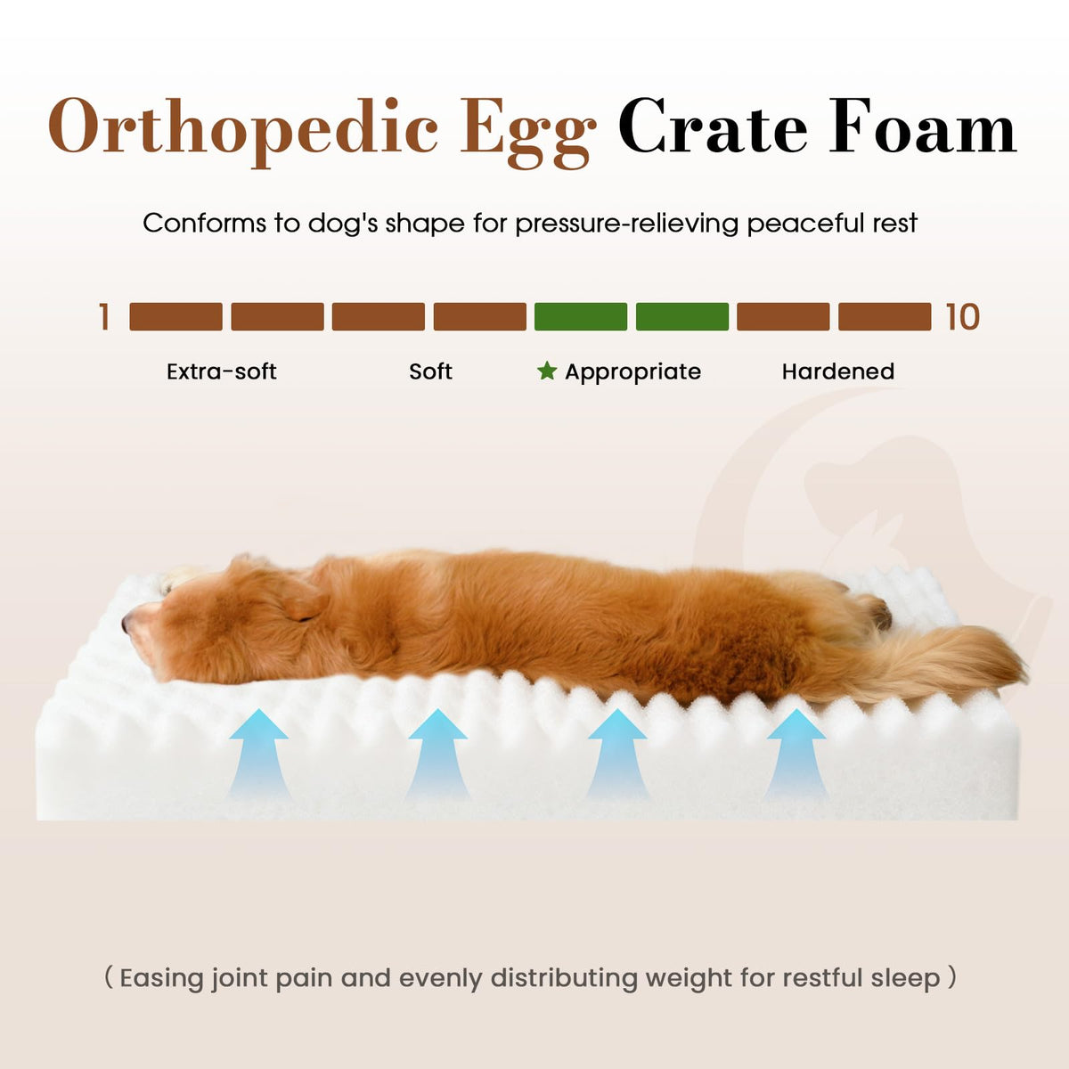 Orthopedic Foam Dog Bed with Waterproof Lining V702729