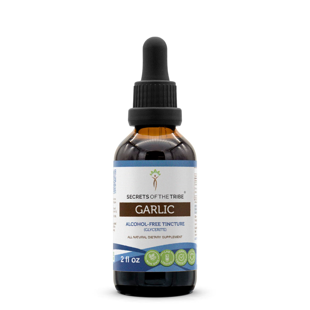 Alcohol-Free Garlic Dried Bulb Liquid Extract 2 FL OZ M77090