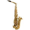 Alto Saxophone Lacquered Gold E-Flat Set Z219811