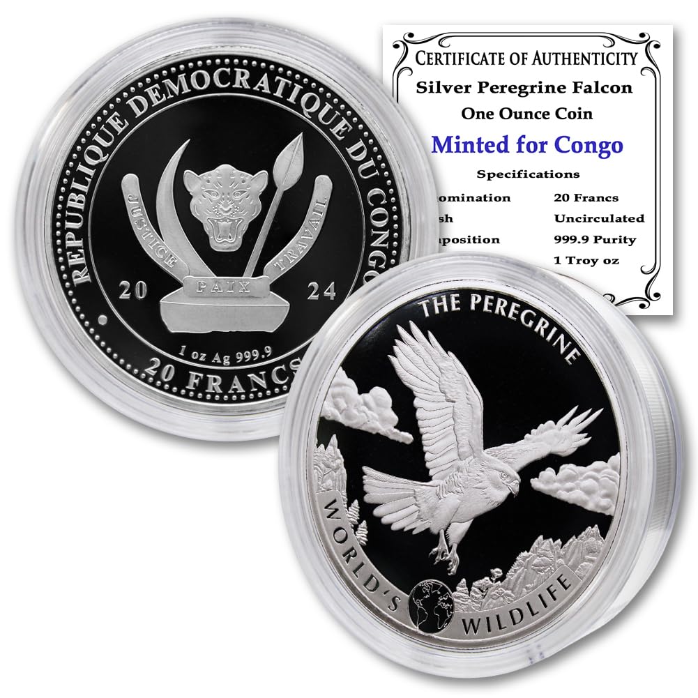1 oz Silver Coin T253240