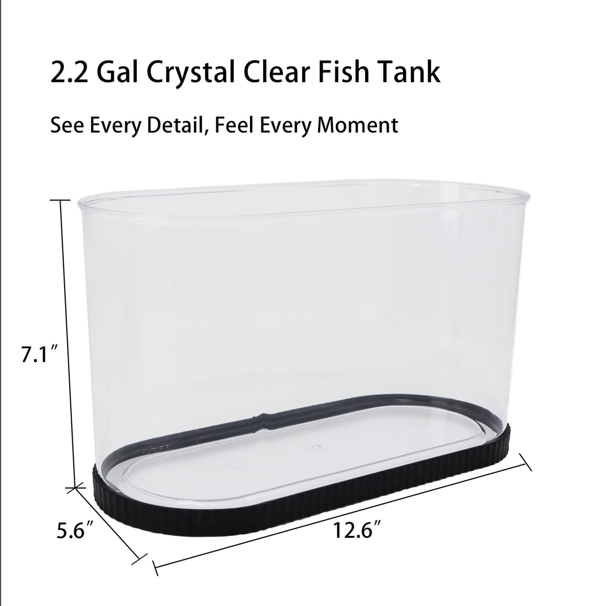 2 Gallon Fish Tank Kit with Filter and Light L5530