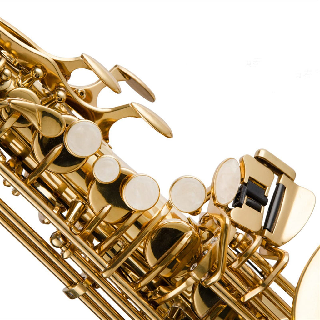 Alto Saxophone Lacquered Gold E-Flat Set Z219811