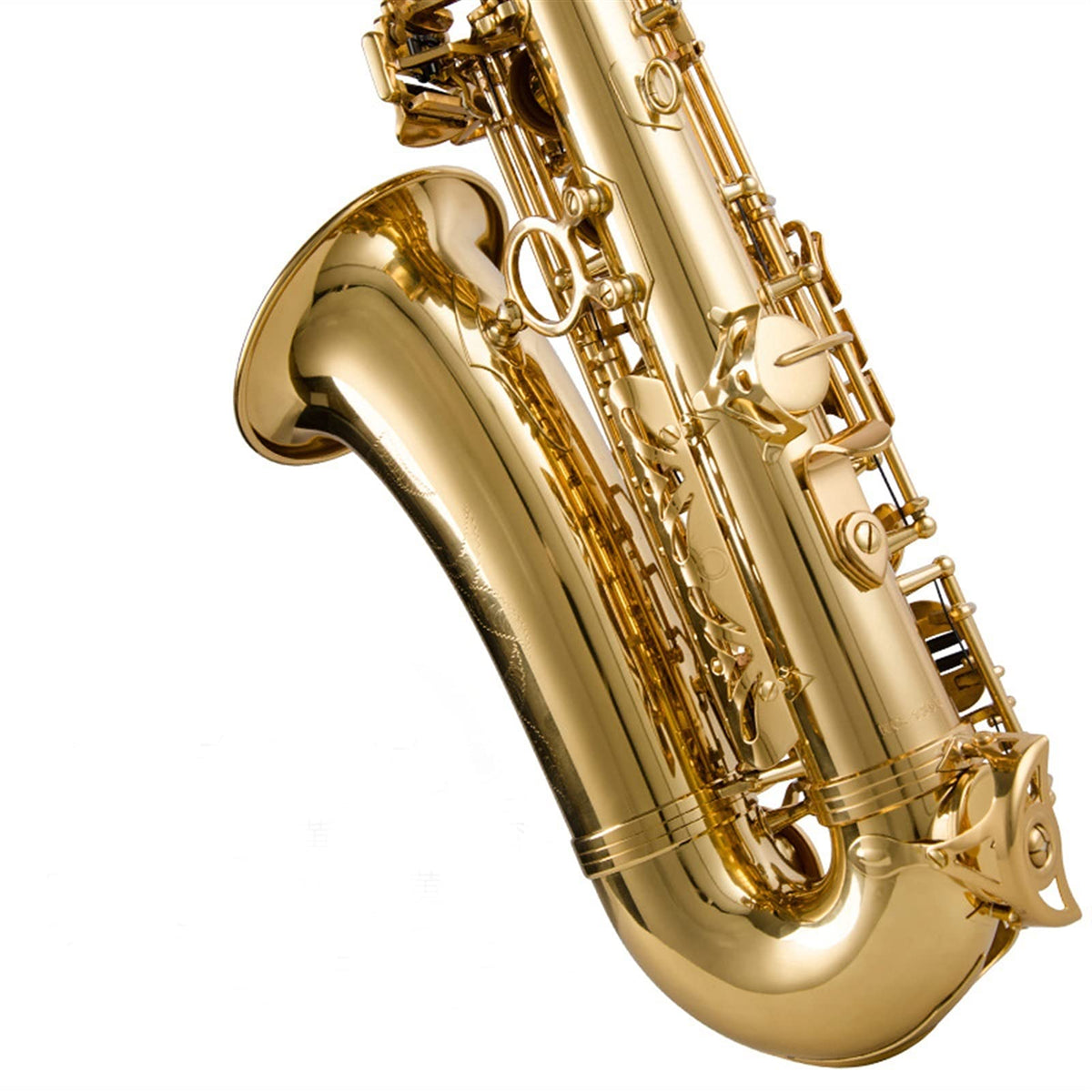 Alto Saxophone Lacquered Gold E-Flat Set Z219811