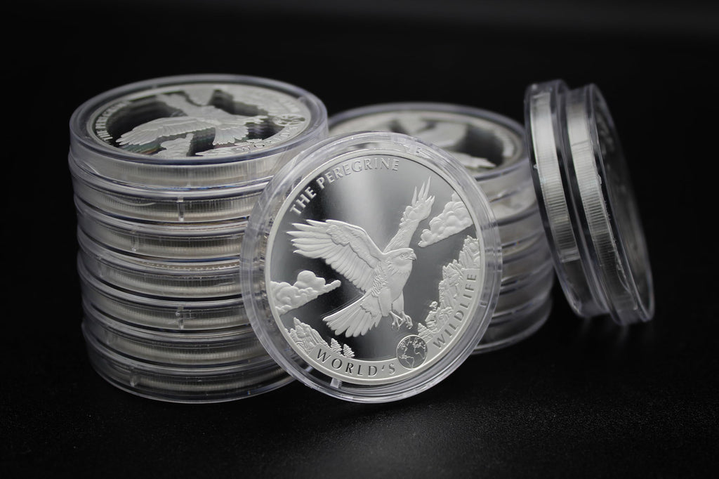 1 oz Silver Coin T253240
