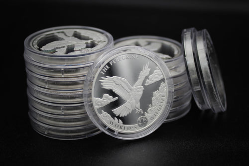 1 oz Silver Coin T253240