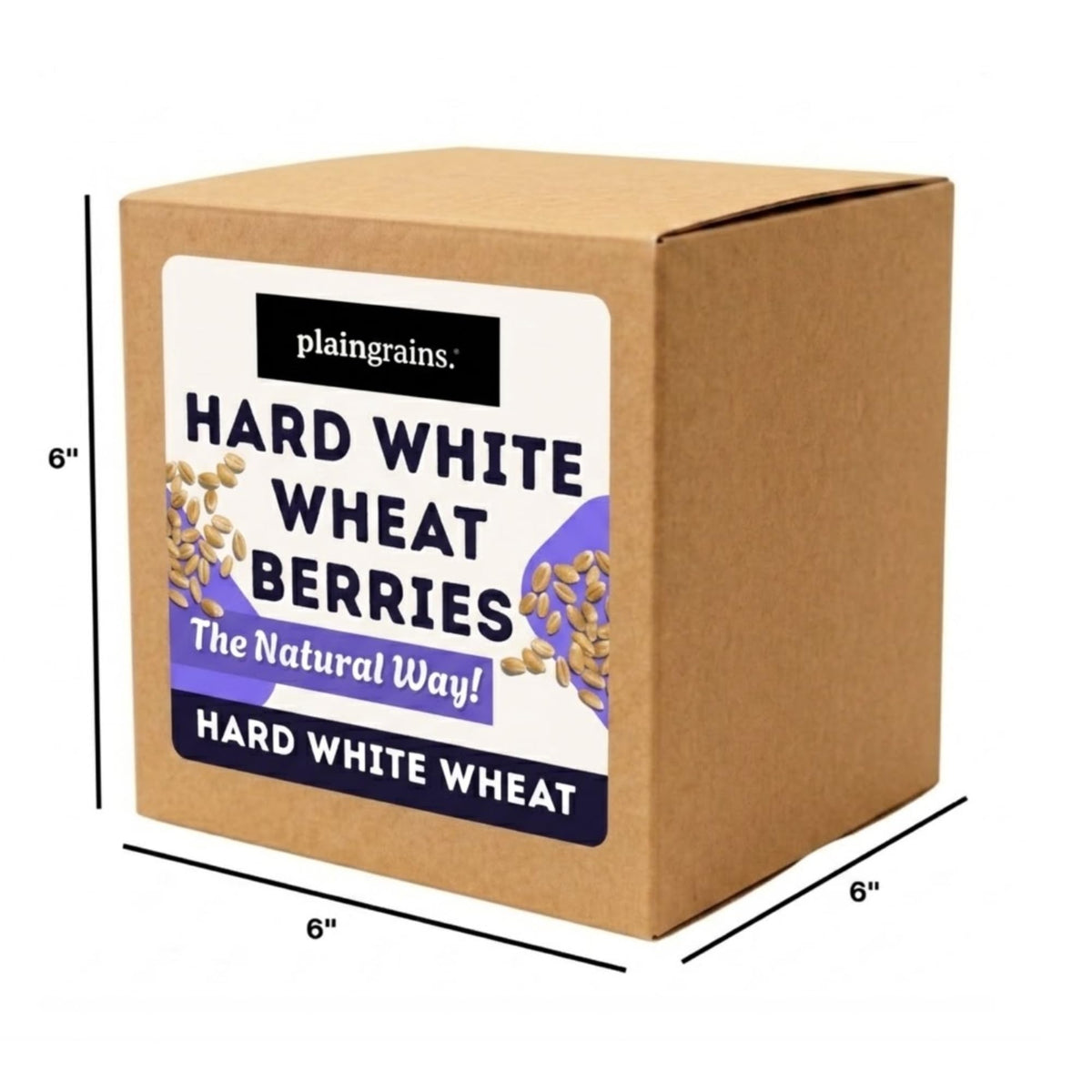 5.5 LB Dry Hard White Wheat Berries Whole Grain D749