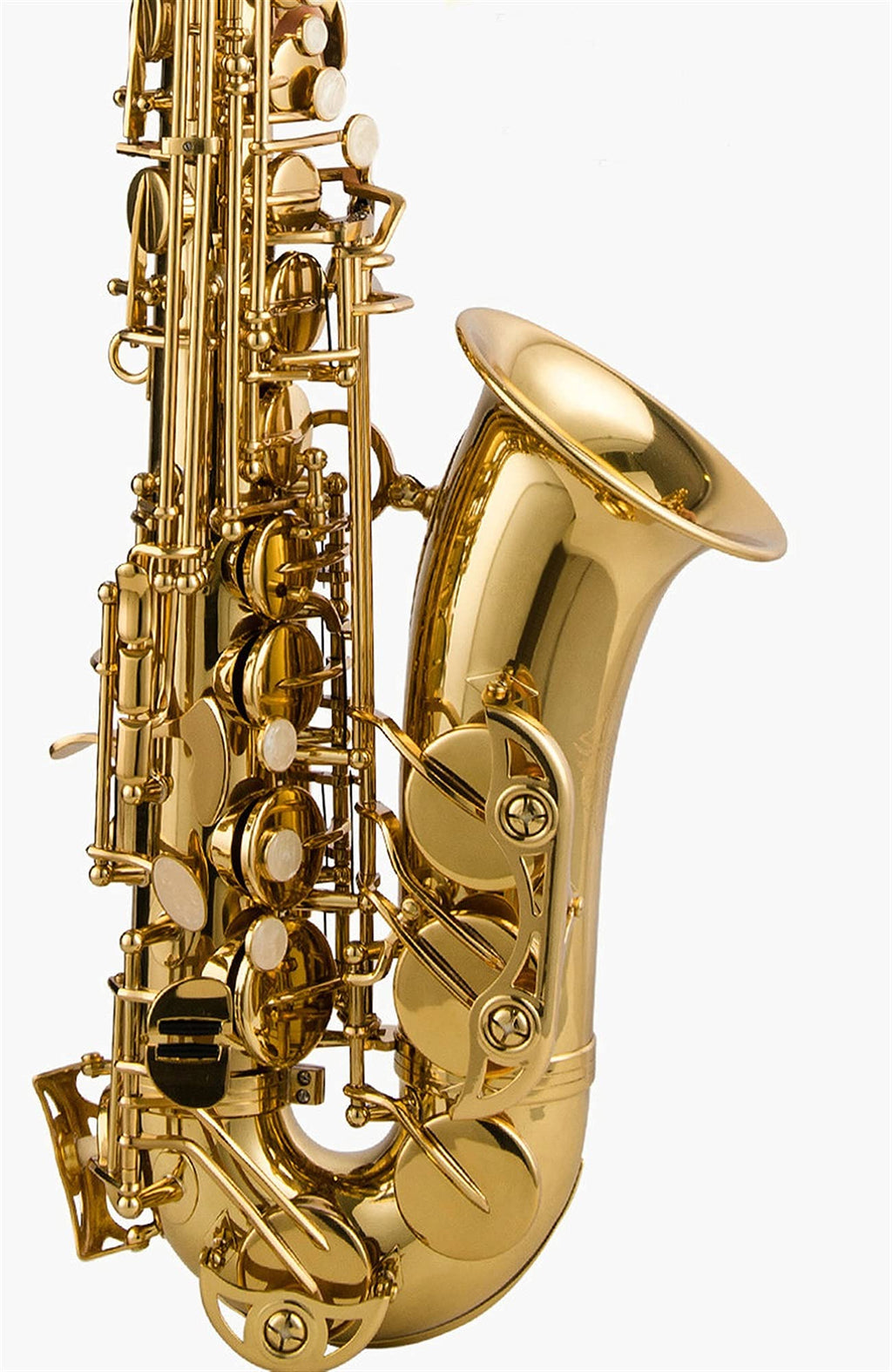 Alto Saxophone Lacquered Gold E-Flat Set Z219811