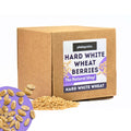 5.5 LB Dry Hard White Wheat Berries Whole Grain D749