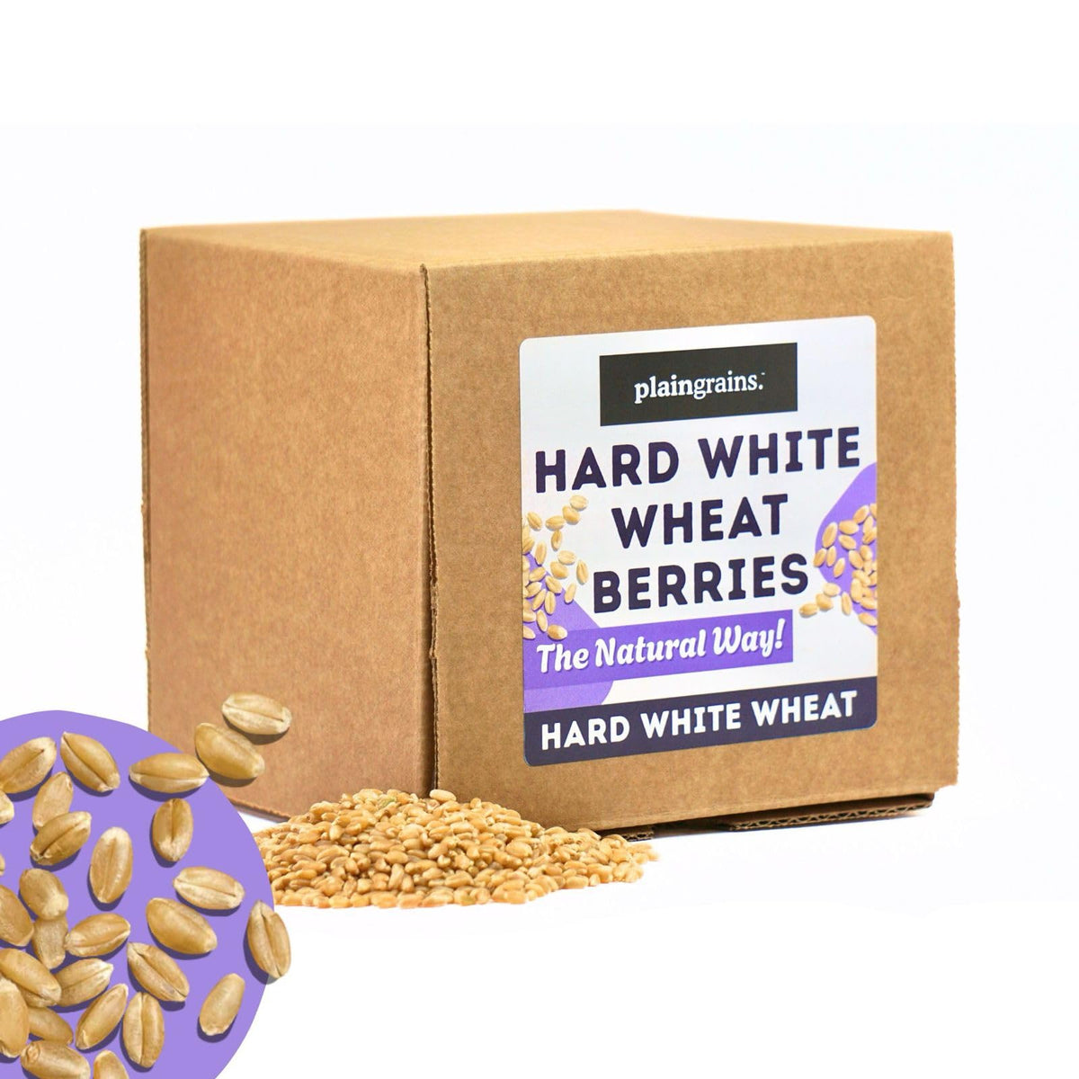 5.5 LB Dry Hard White Wheat Berries Whole Grain D749