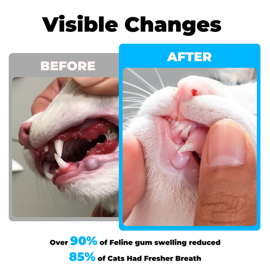 Chicken Flavor Cat Dental Care Powder 2.11 oz V76341