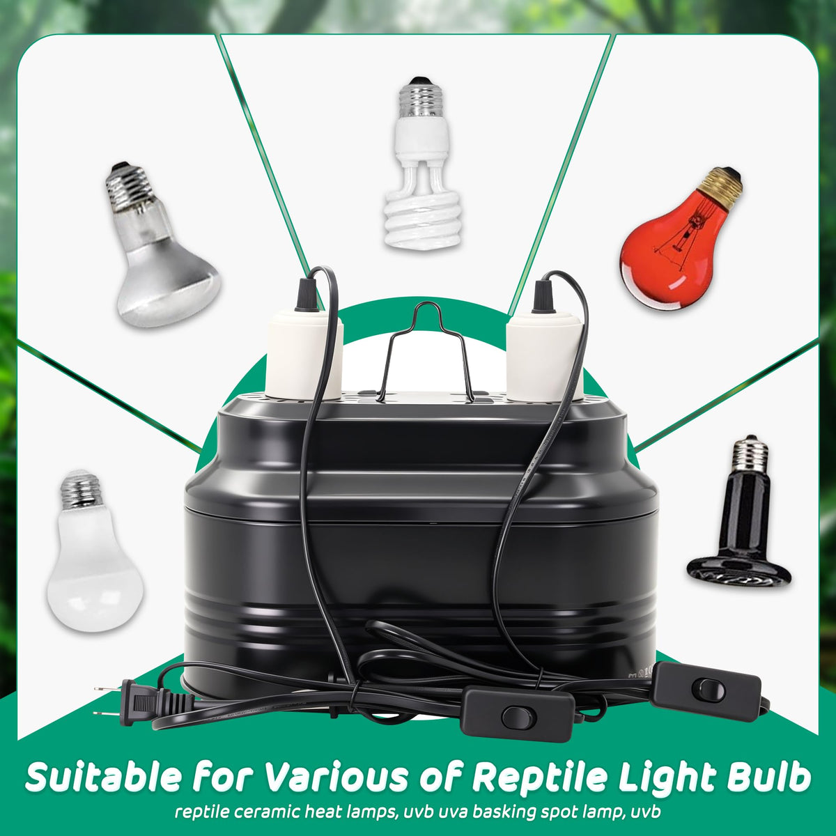 Reptile Light Fixture with Independent Switches L44930