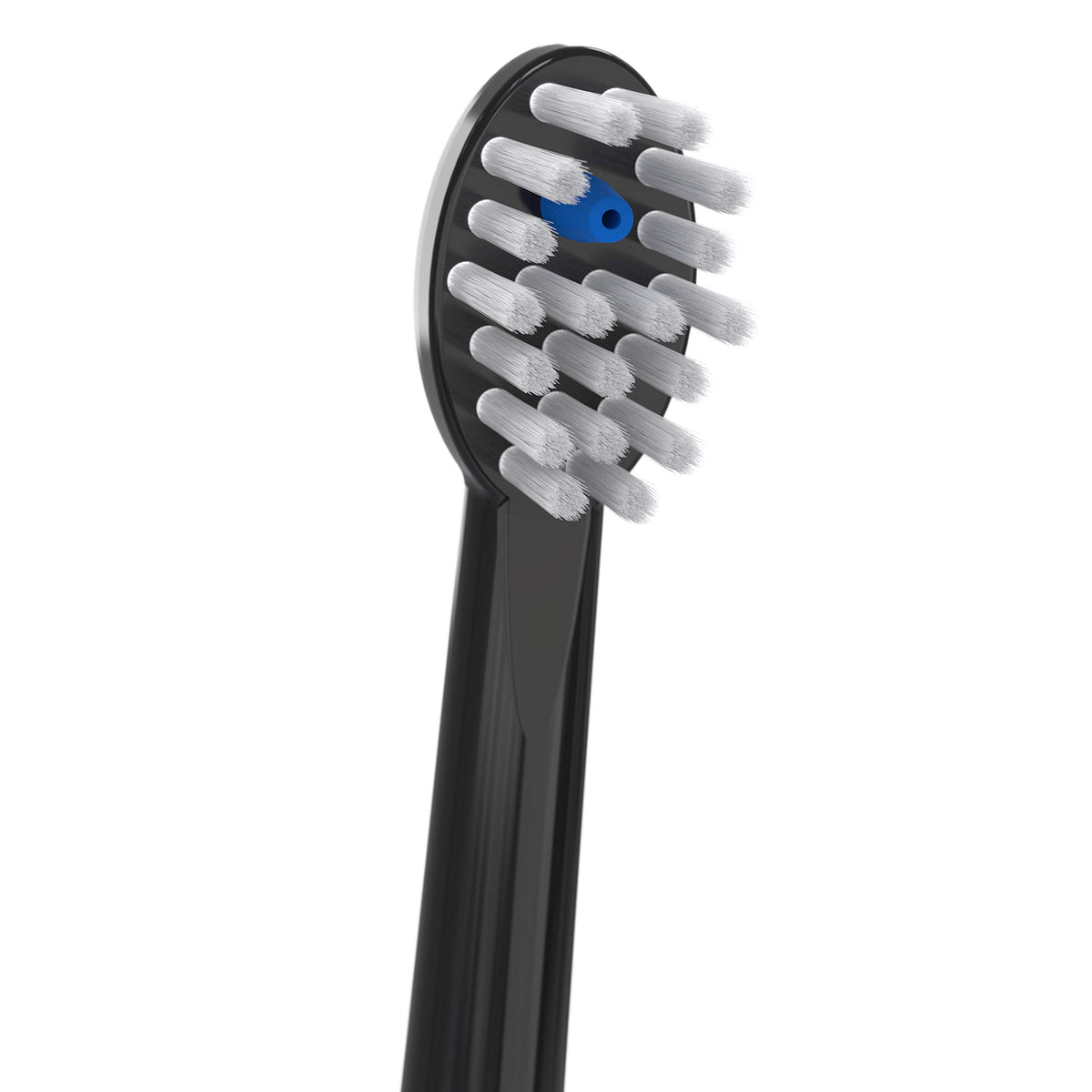 Black Replacement Brush Heads, 2 Count E8524