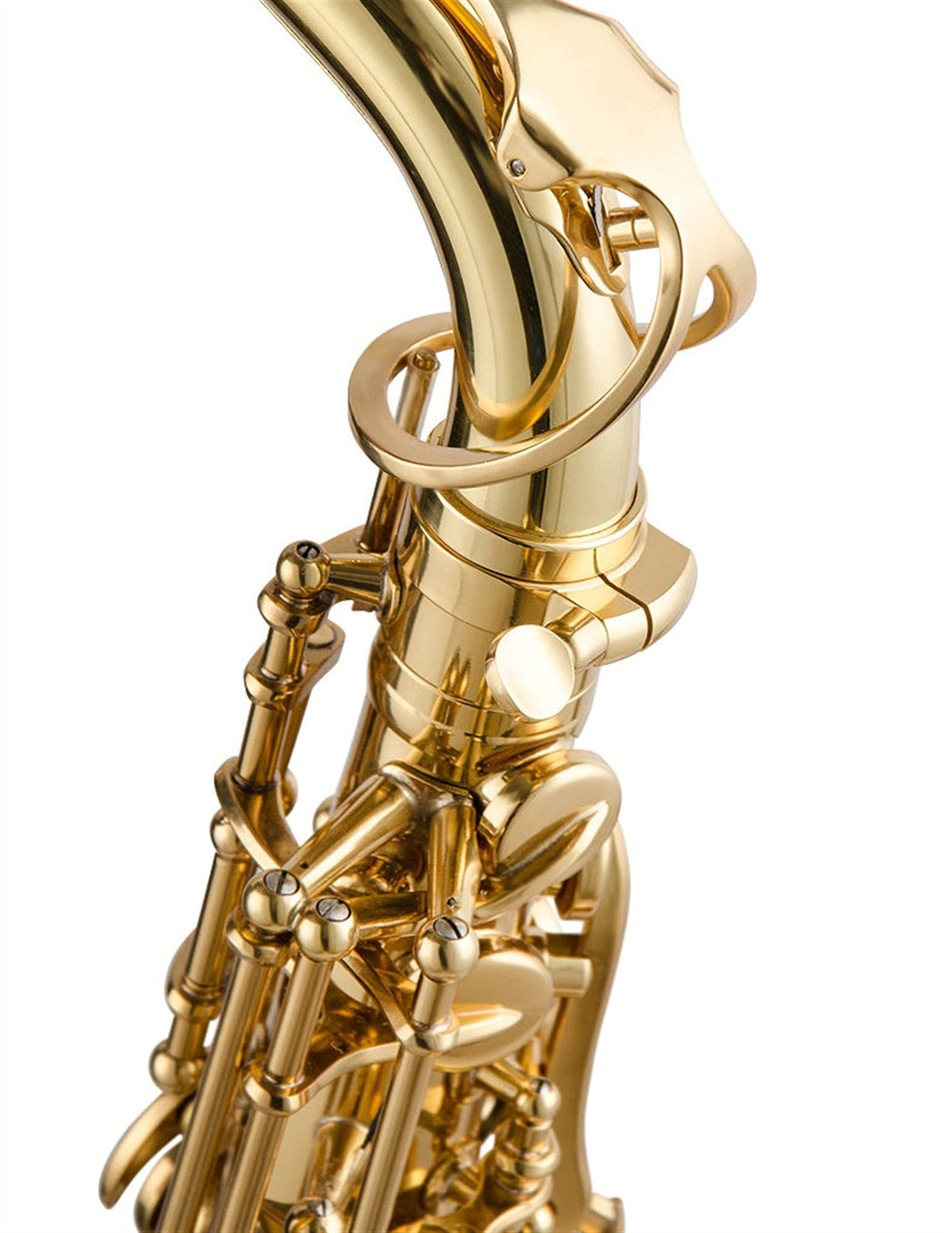 Alto Saxophone Lacquered Gold E-Flat Set Z219811