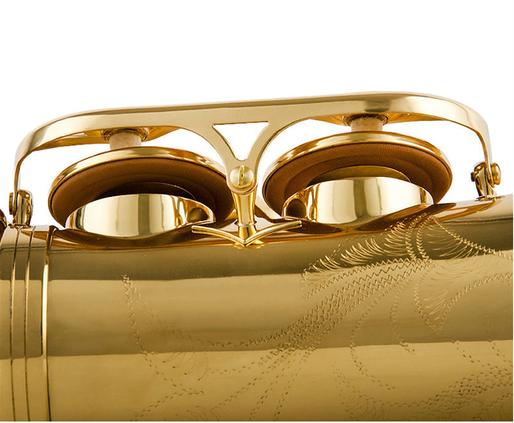 Alto Saxophone Lacquered Gold E-Flat Set Z219811