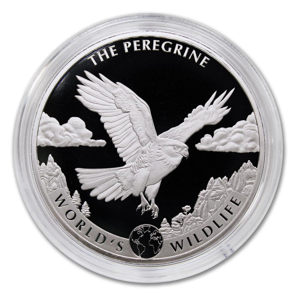 1 oz Silver Coin T253240