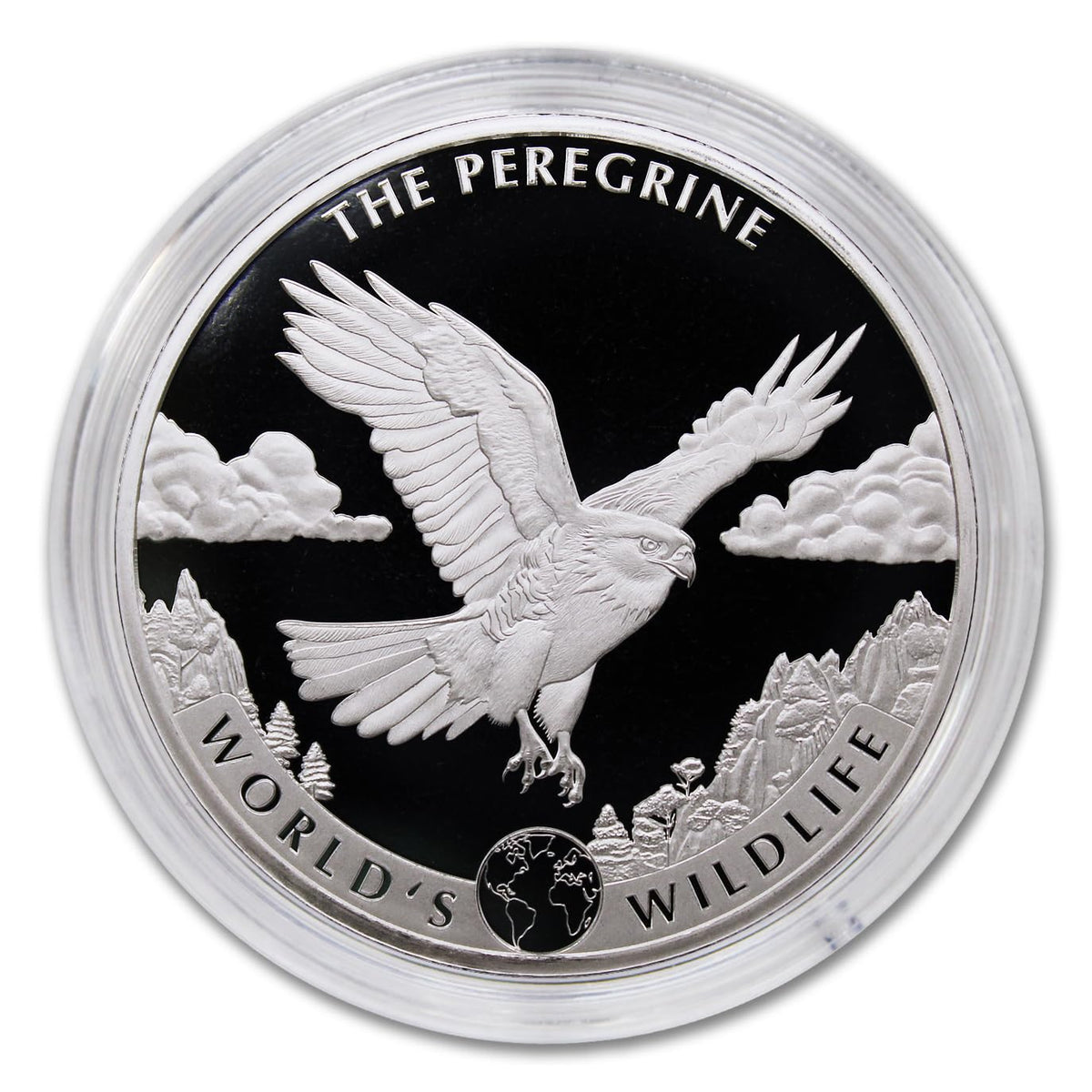 1 oz Silver Coin T253240