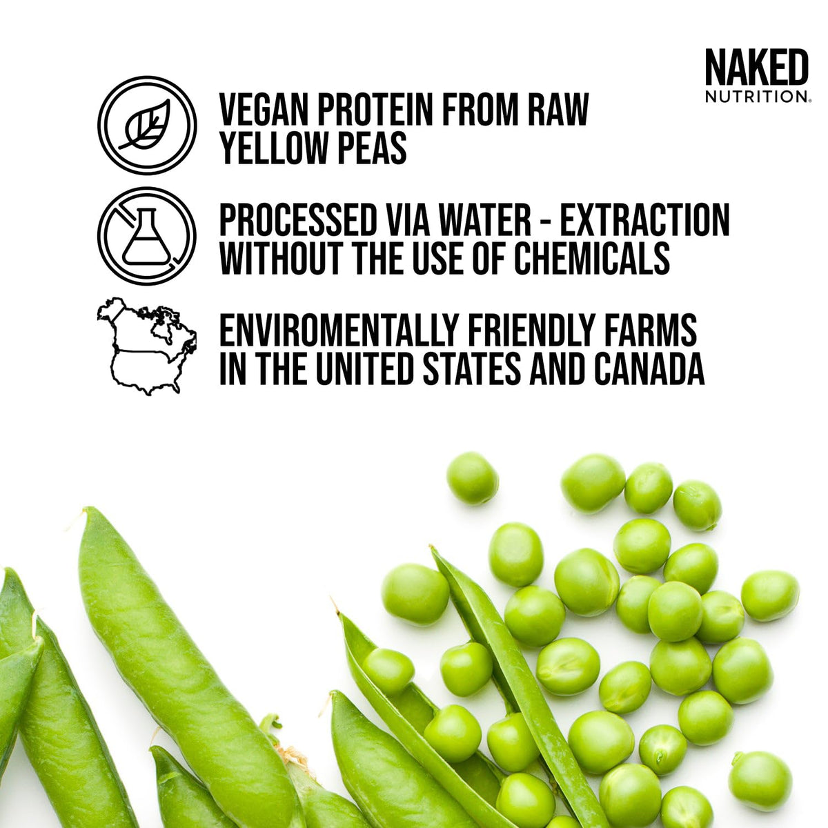 Dairy Free Protein Bundle: 5LB Unflavored Pea and 2LB PB R379