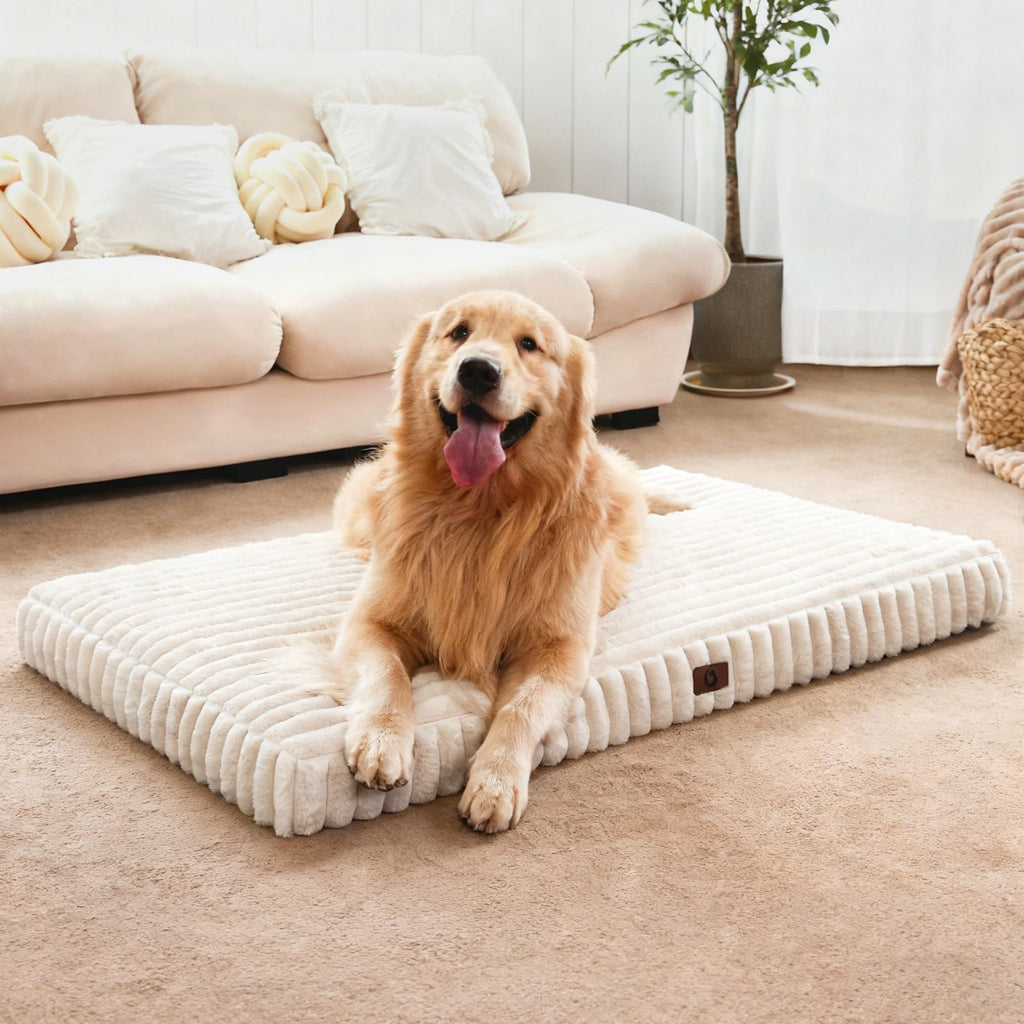 Orthopedic Foam Dog Bed with Waterproof Lining V702729