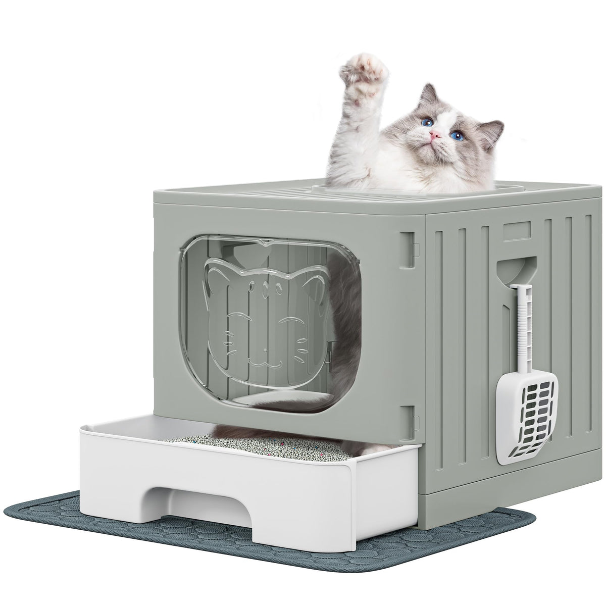 Large Enclosed Cat Litter Box with Lid H159524