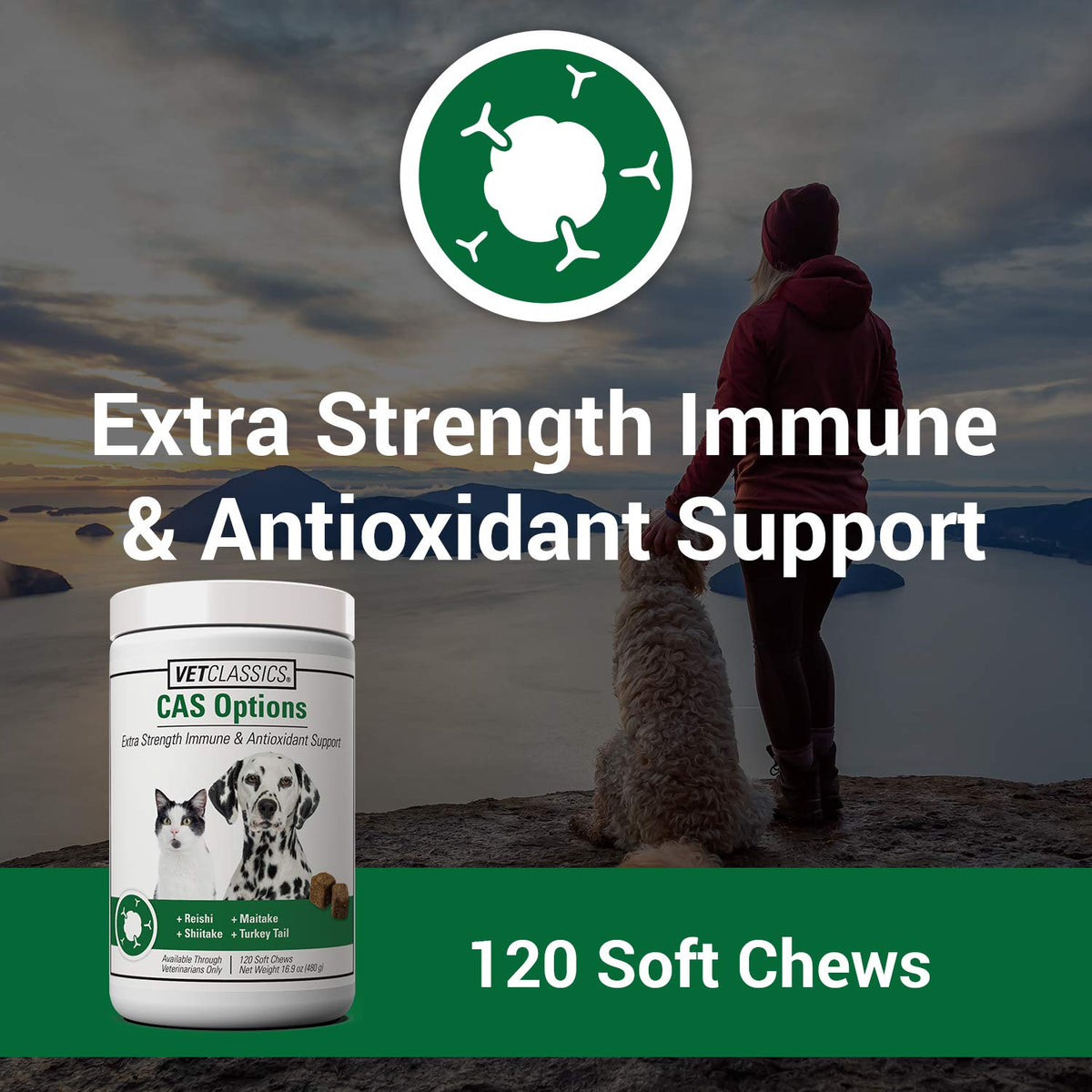 Immune Support Supplement for Dogs 120 Soft Chews Z94105