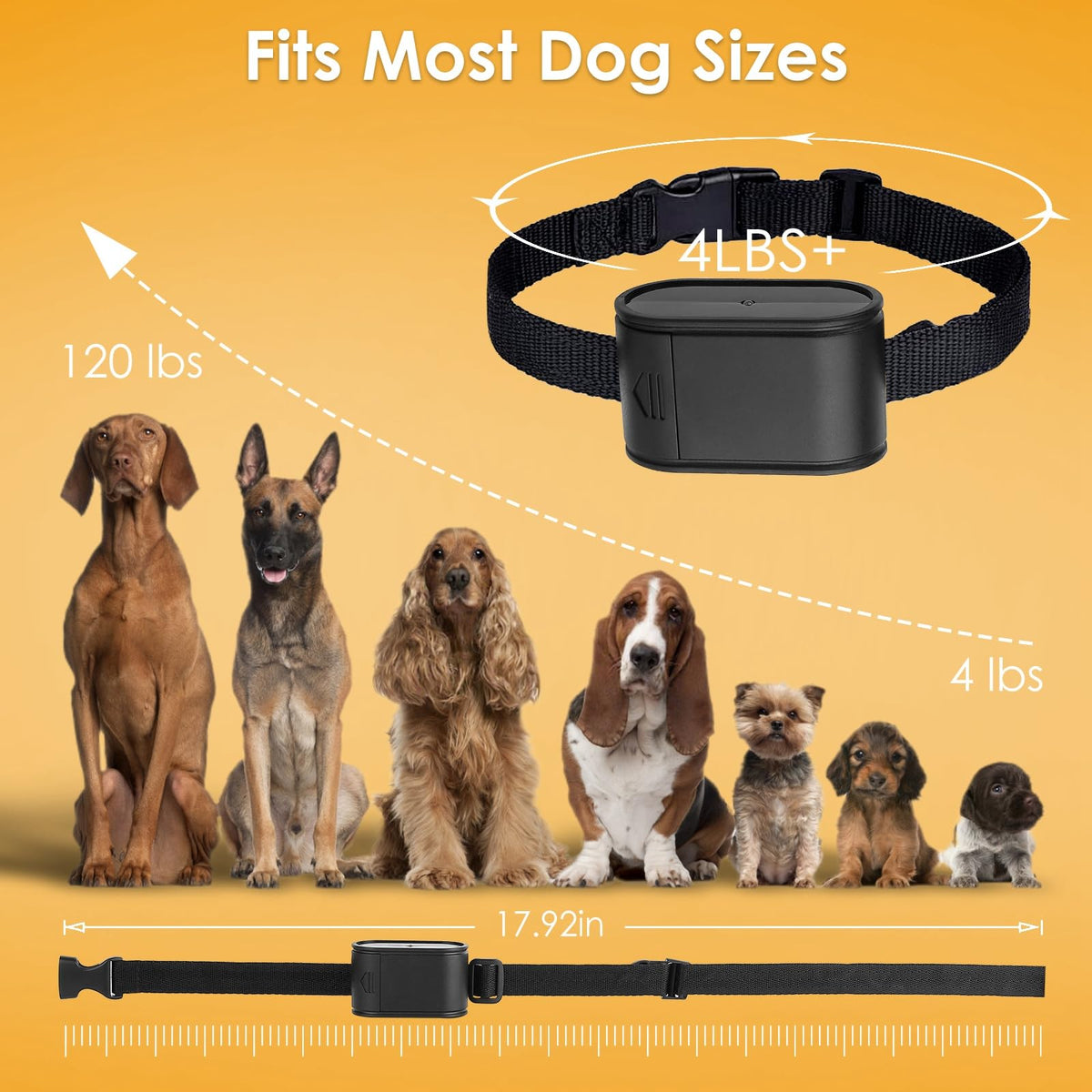 Electric Dog Fence System for 2 Dogs W79363