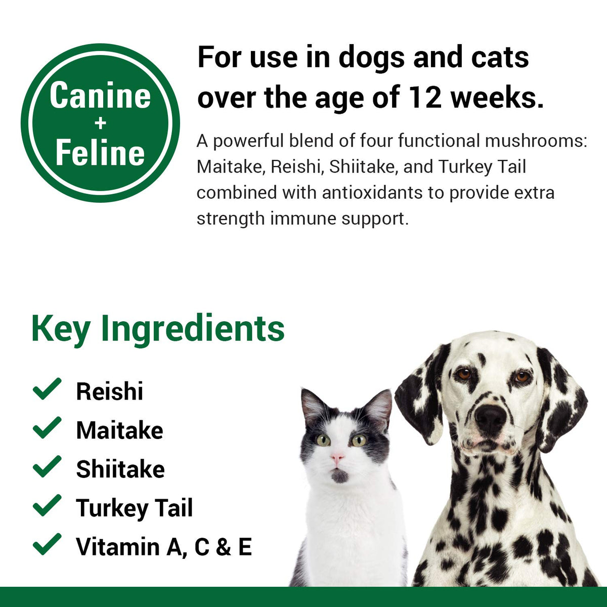 Immune Support Supplement for Dogs 120 Soft Chews Z94105