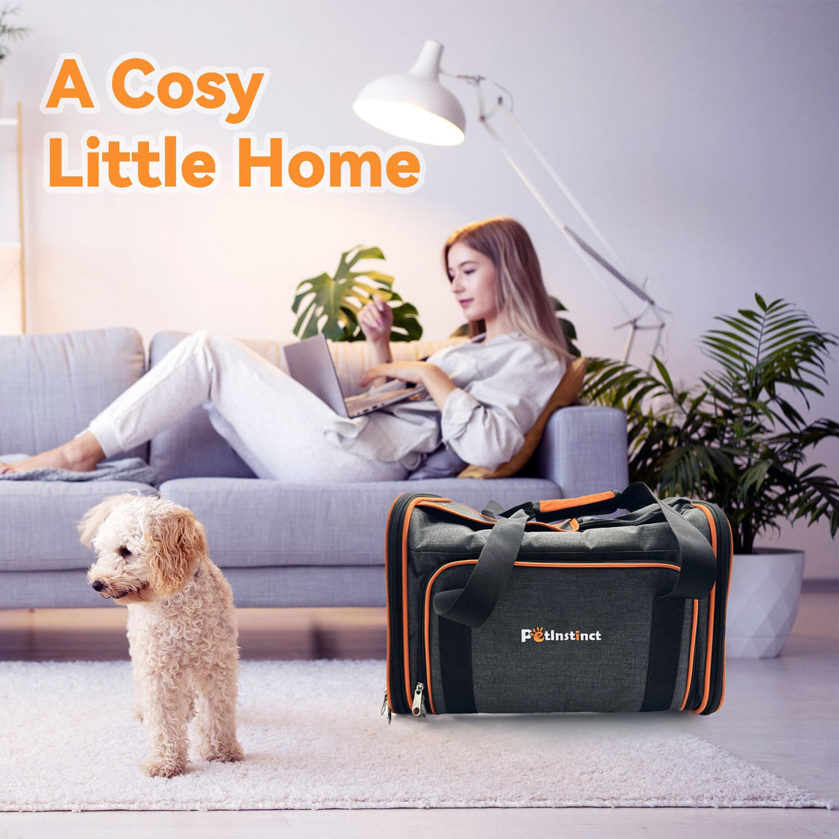 Airline Approved Pet Carrier Z925