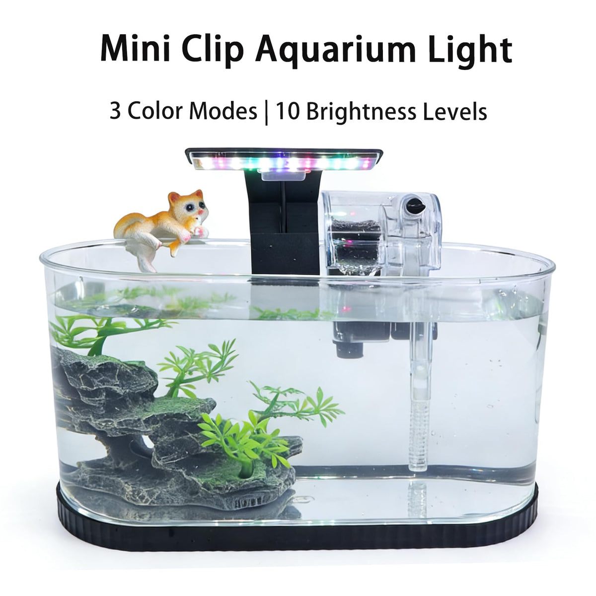 2 Gallon Fish Tank Kit with Filter and Light L5530
