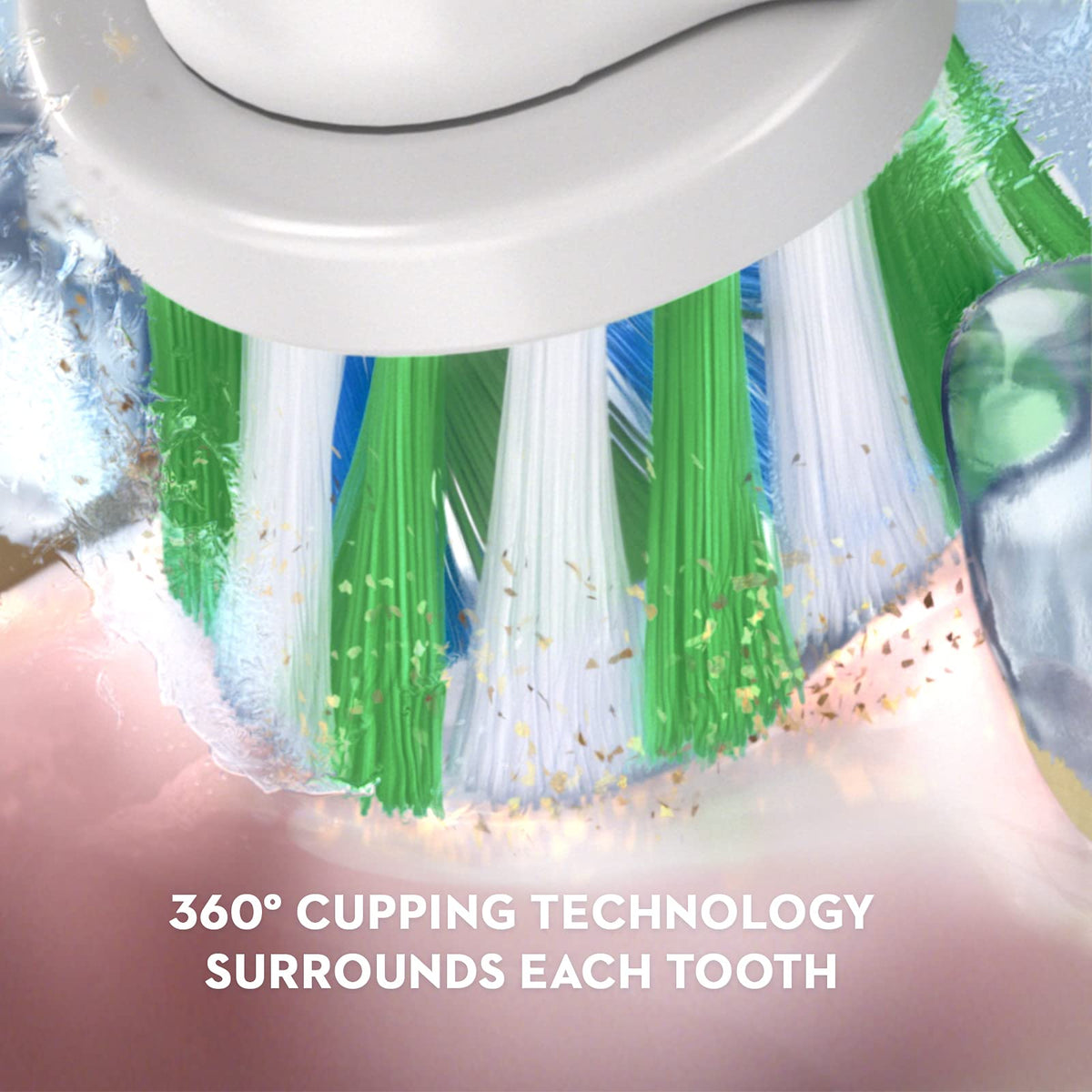 Black and White 2 Count Electric Toothbrush N15028