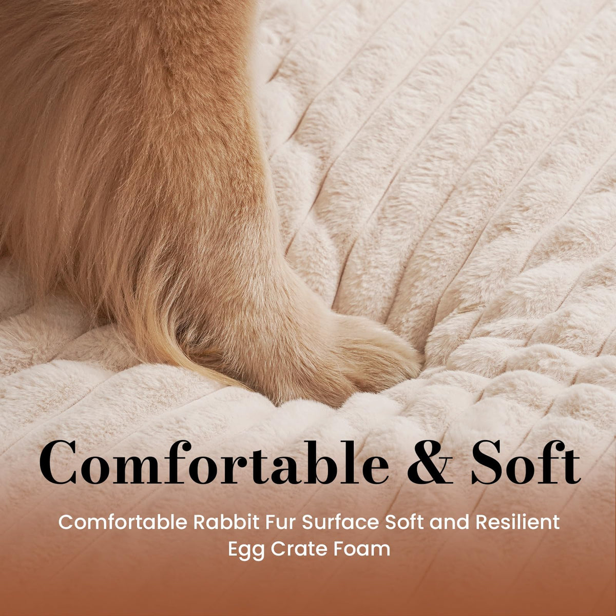 Orthopedic Foam Dog Bed with Waterproof Lining V702729