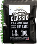 Cat Grass Seed Non-GMO Wheatgrass J376511