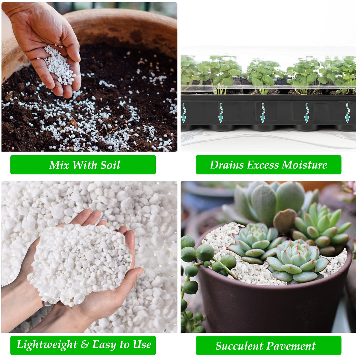 4 Quarts Organic Perlite for Plants N771792
