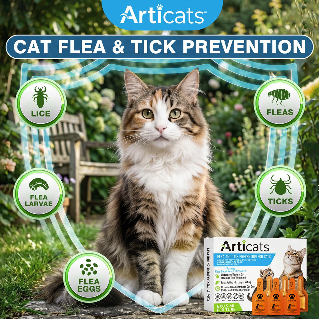 Flea and Tick Prevention for Cats & Kittens, Topical Cat Flea and Tick Treatment 6-Dose U42861