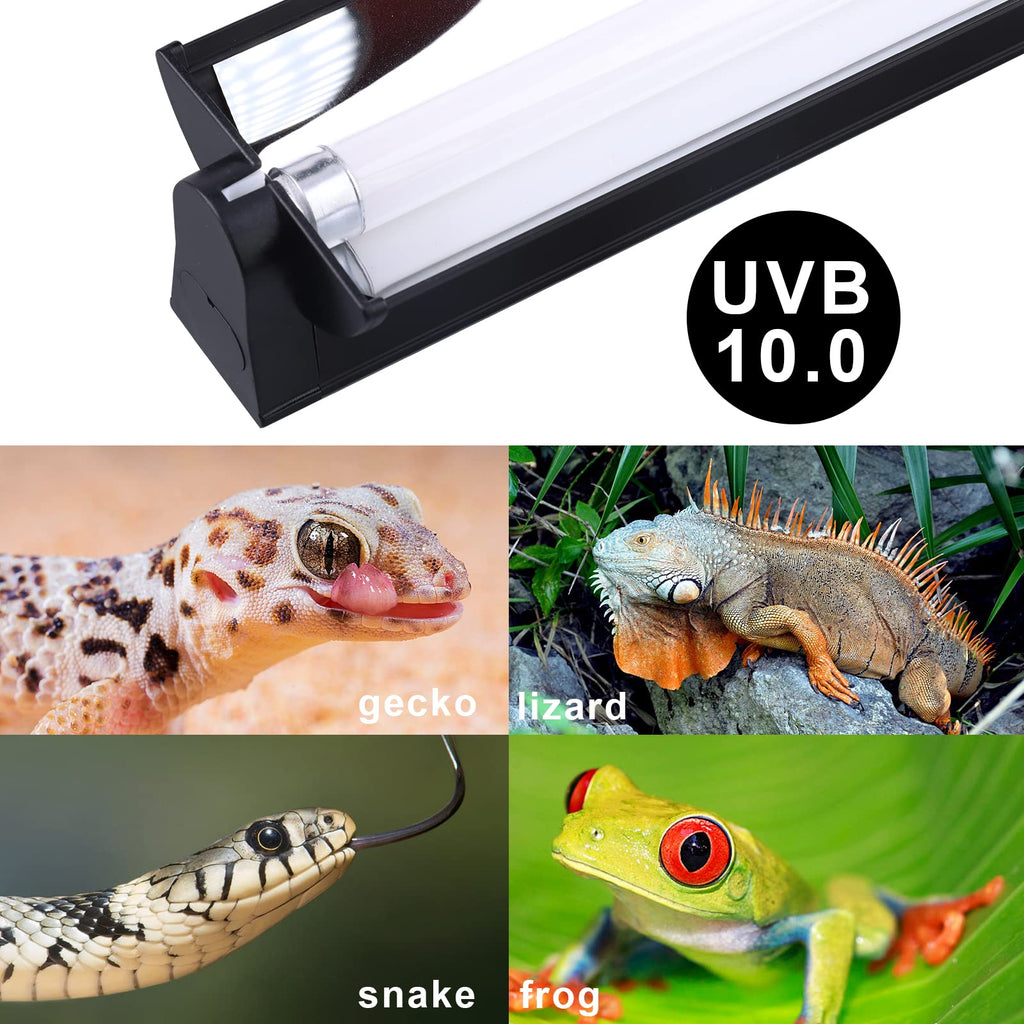 T5 UVB Lighting Combo Kit 22Inch 24W L6197