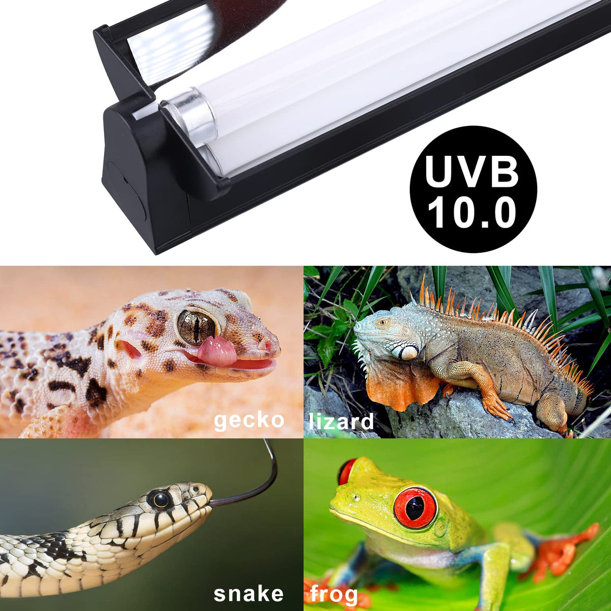 T5 UVB Lighting Combo Kit 22Inch 24W L6197