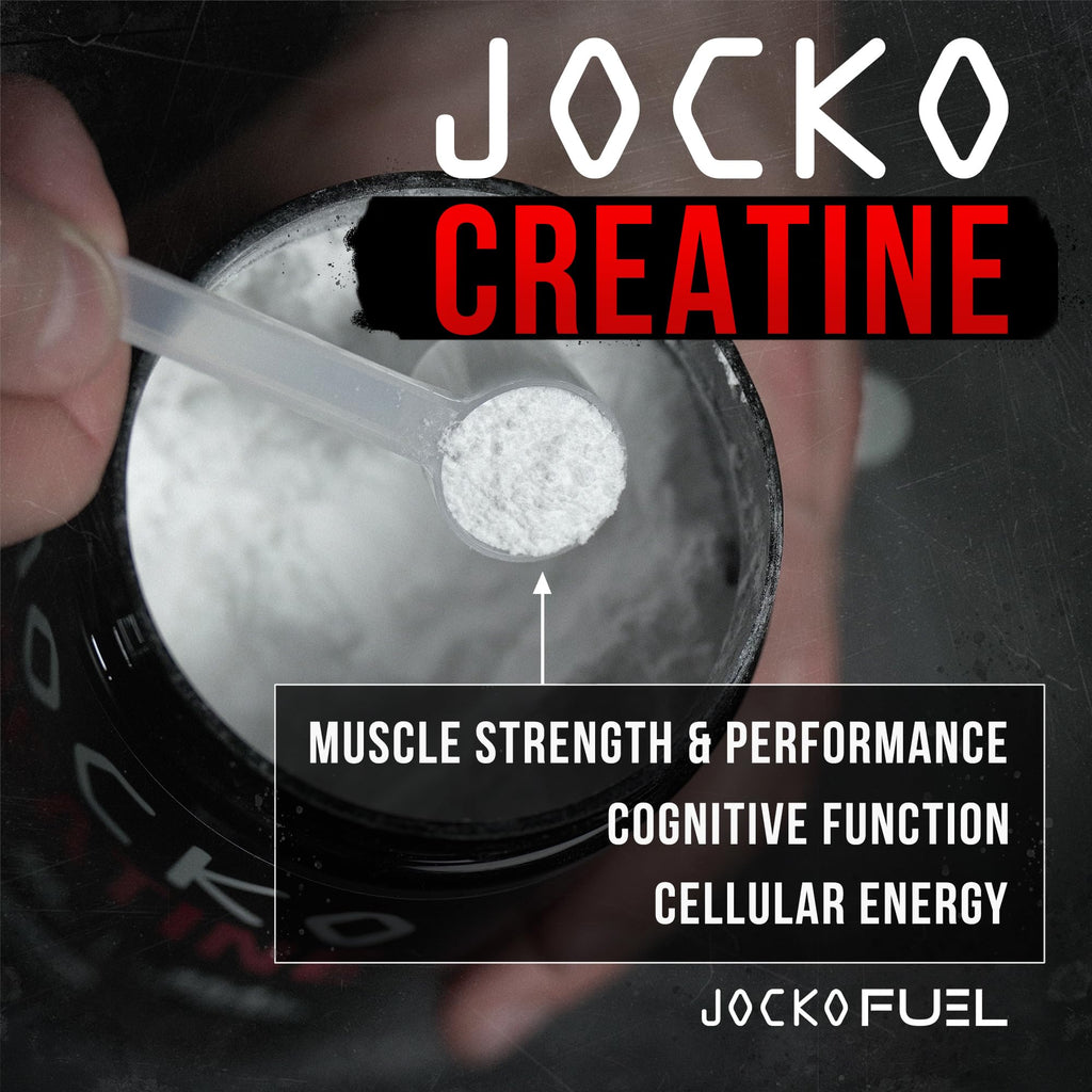 Creatine Monohydrate Powder Unflavored 454g W535701