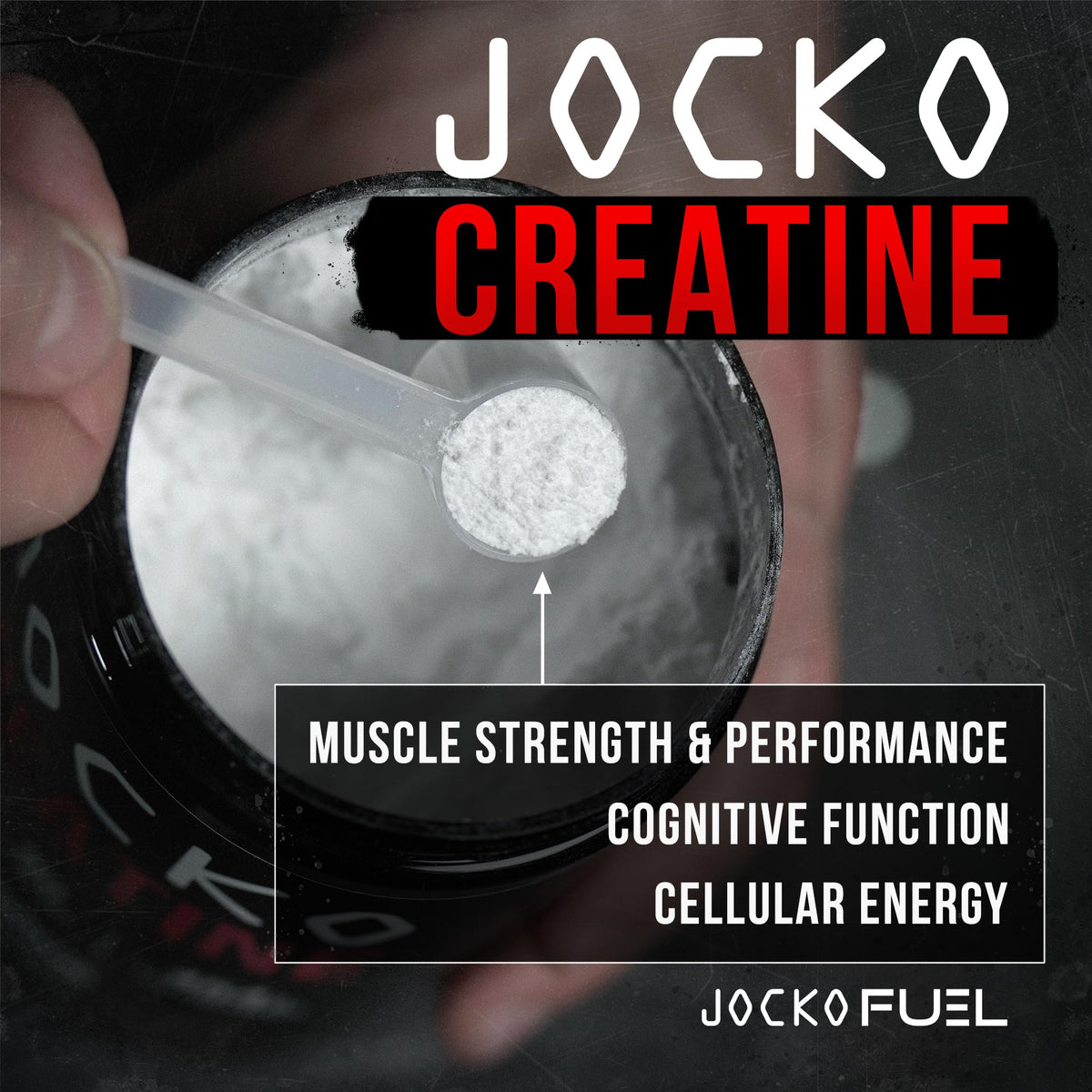 Creatine Monohydrate Powder Unflavored 454g W535701