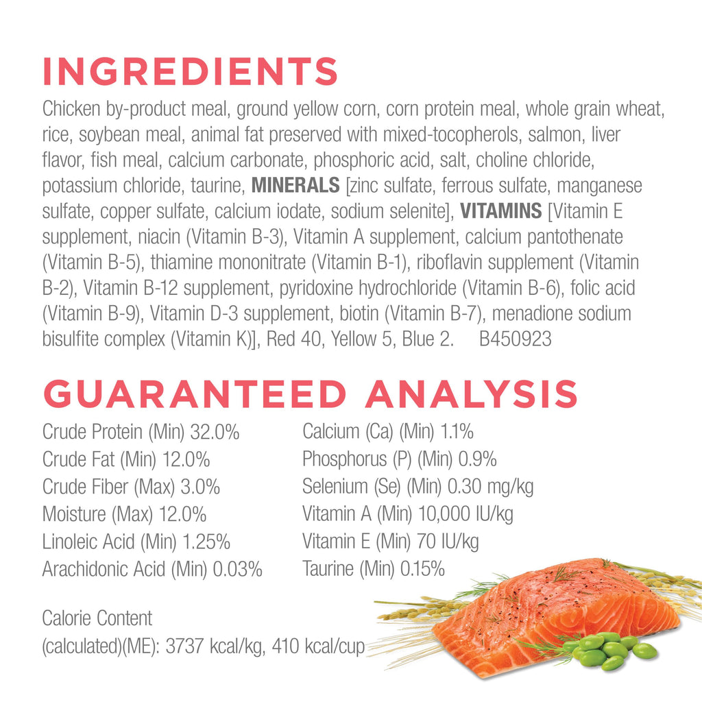 Salmon High Protein Dry Cat Food P7819