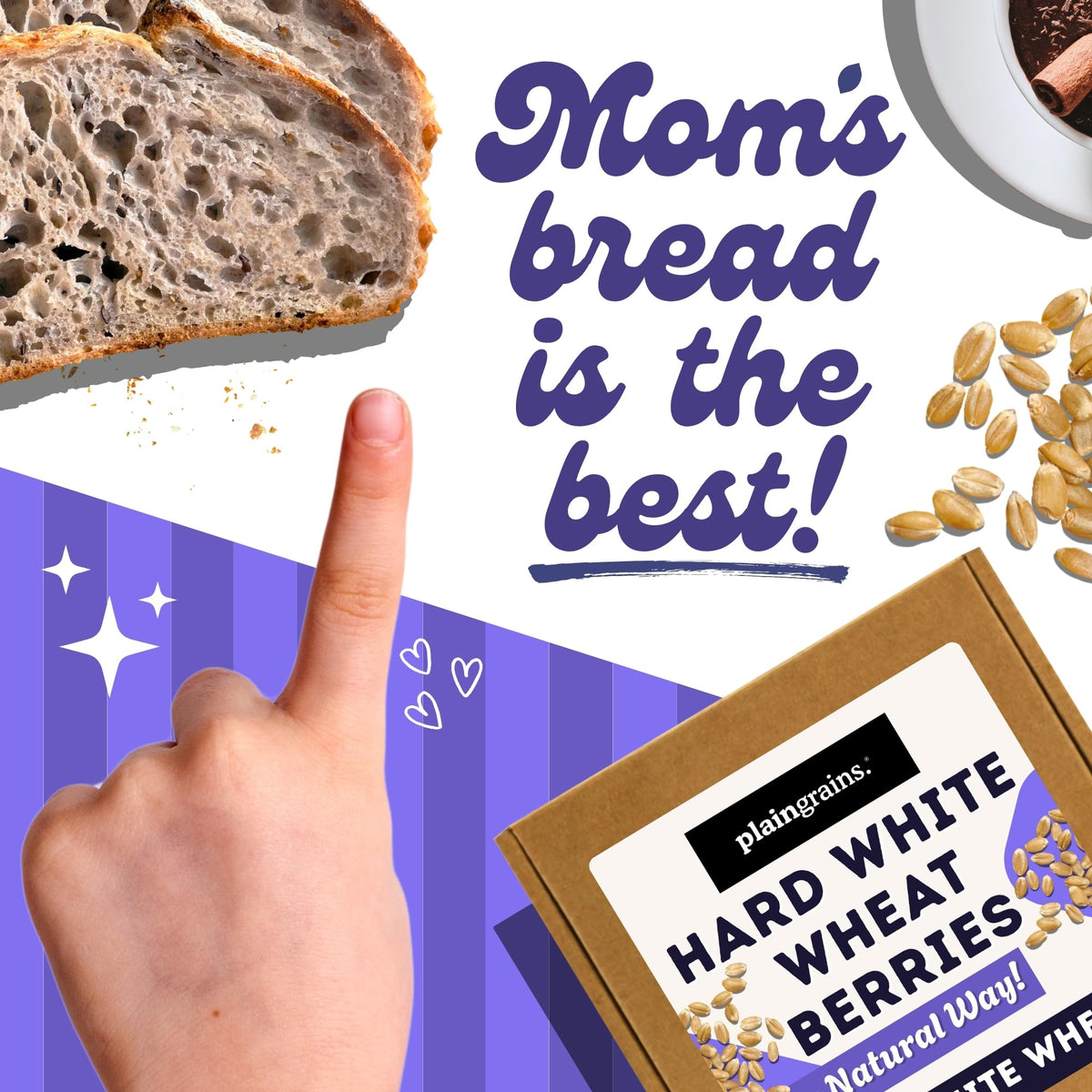 5.5 LB Dry Hard White Wheat Berries Whole Grain D749