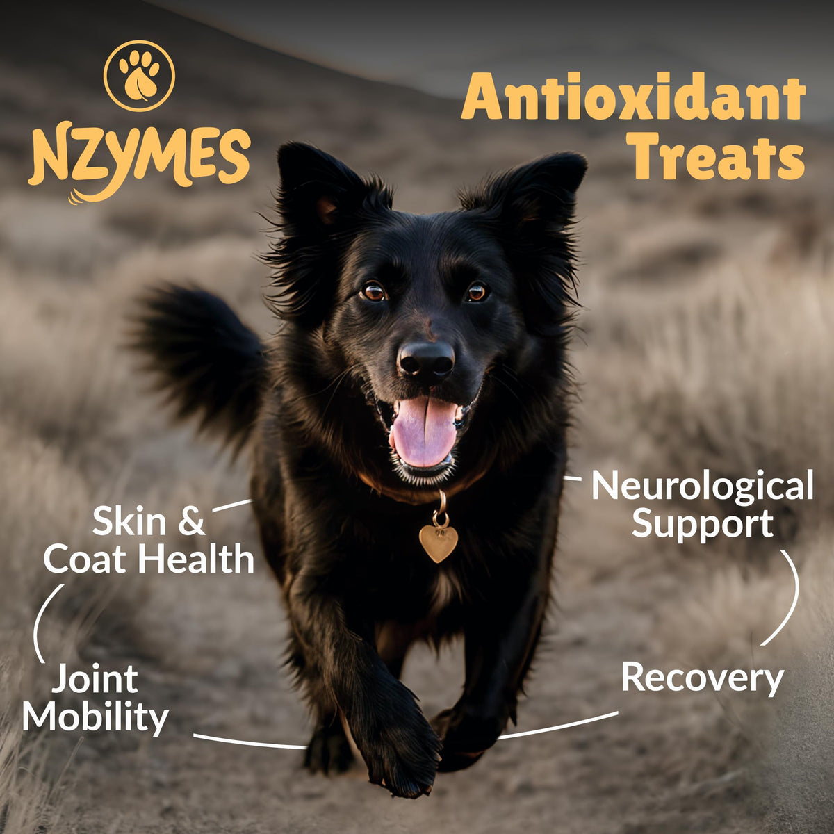 Antioxidant Dog Treats, 180 Count X180759