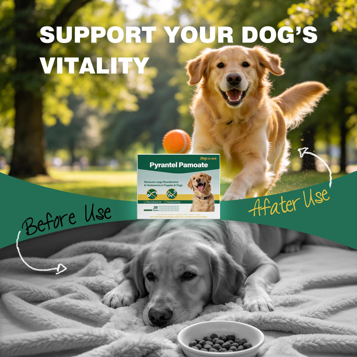 Chewable Pyrantel Pamoate Dog Dewormer 36 Tablets Q122