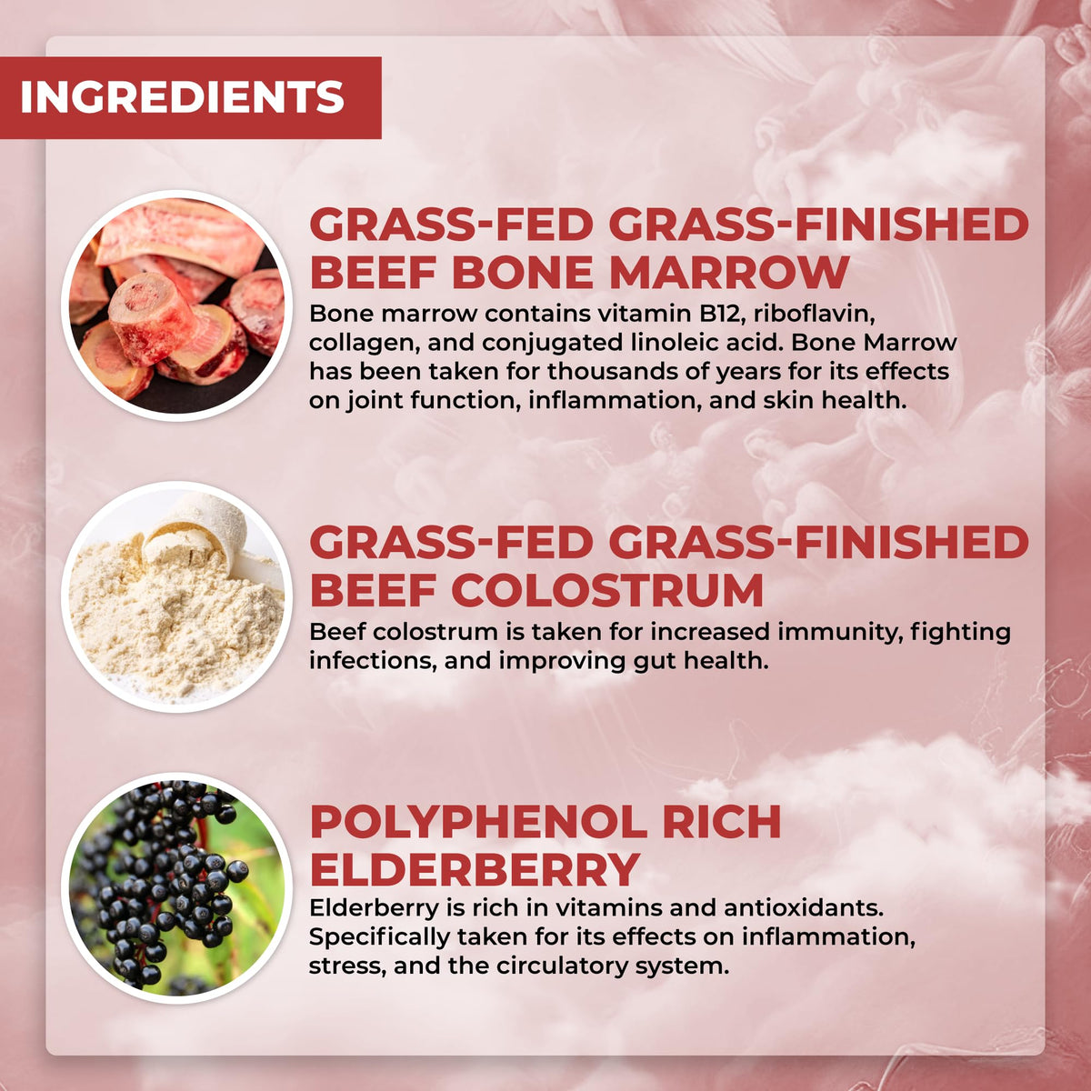 Grass Fed Beef Organ Supplement with Collagen, Maca Root, Colostrum, Bone Broth, 30 Servings D1750