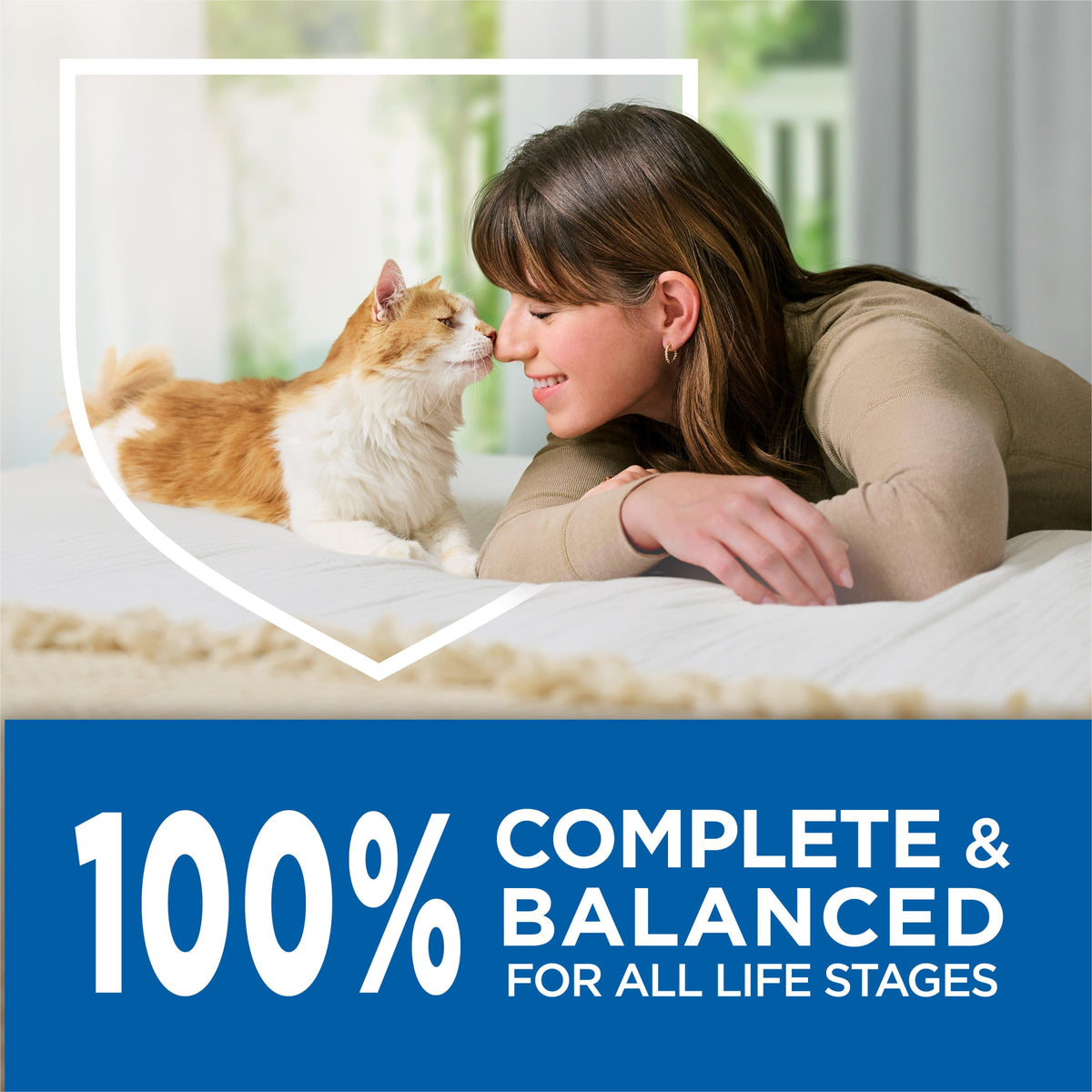 Salmon High Protein Dry Cat Food P7819