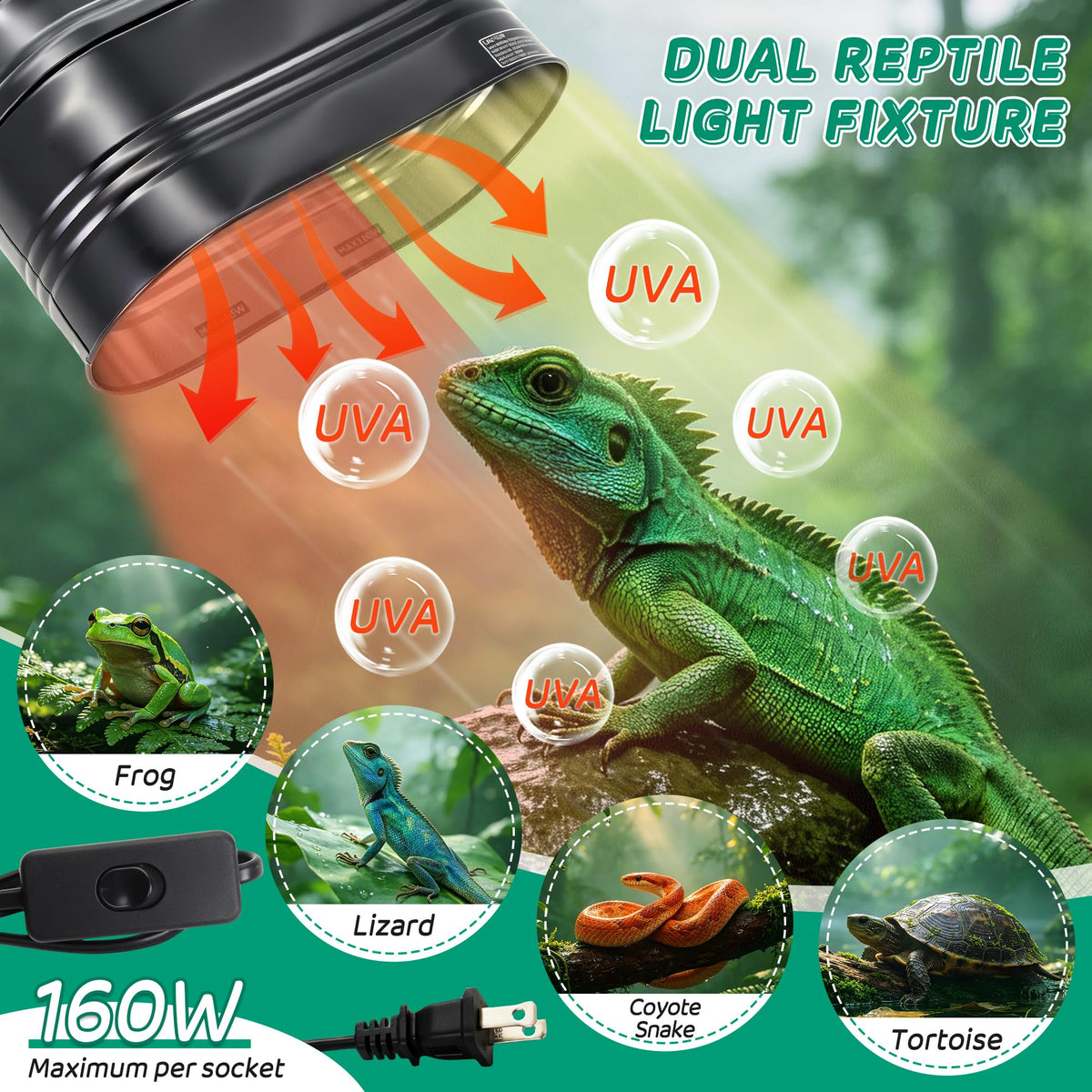 Reptile Light Fixture with Independent Switches L44930