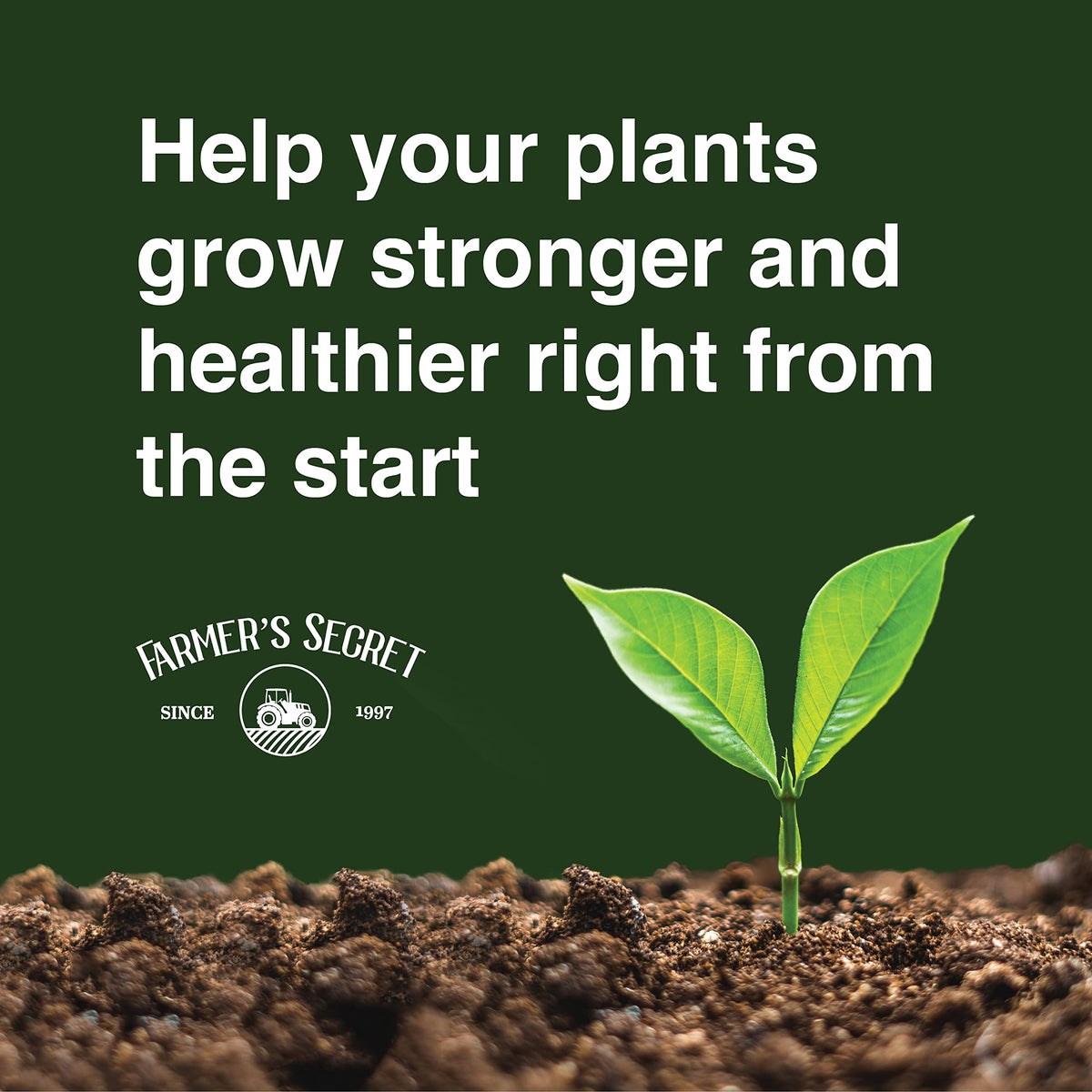 32oz Concentrated High Phosphorus Plant Booster H672243