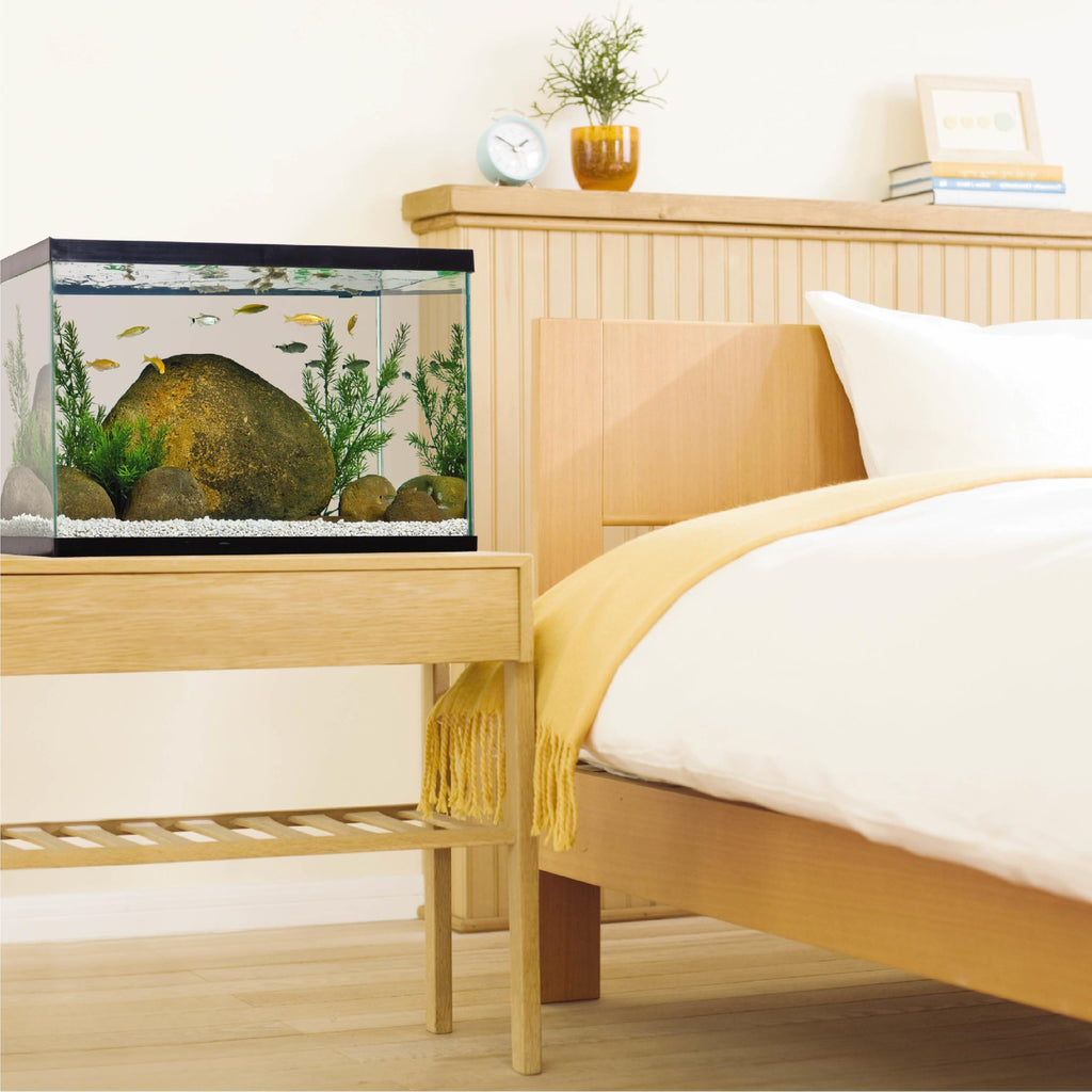 20 Gallon Fish Tank Kit E600767