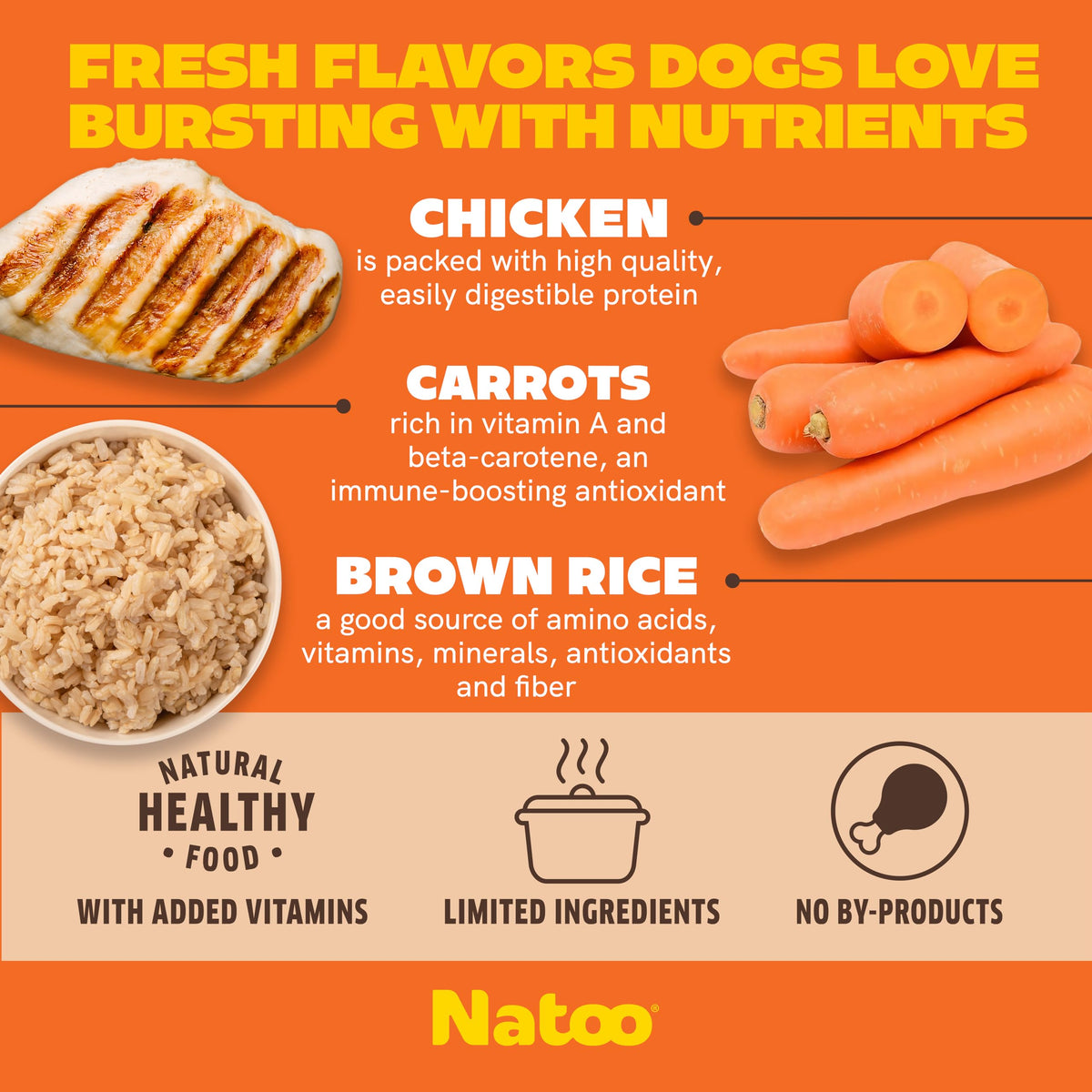 Dog Food Topper Chicken Carrot Brown Rice Quinoa Case of 20 R7567