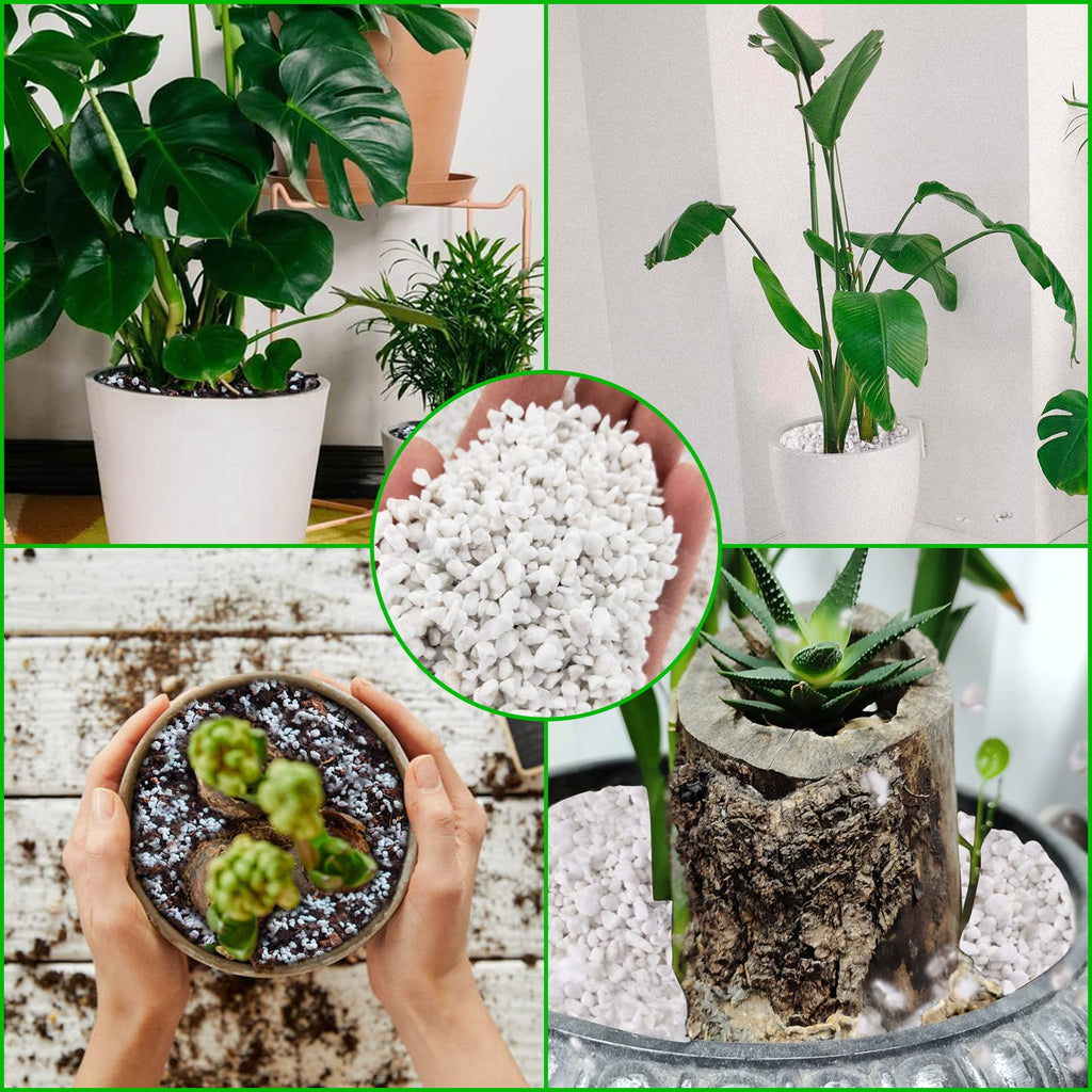 4 Quarts Organic Perlite for Plants N771792